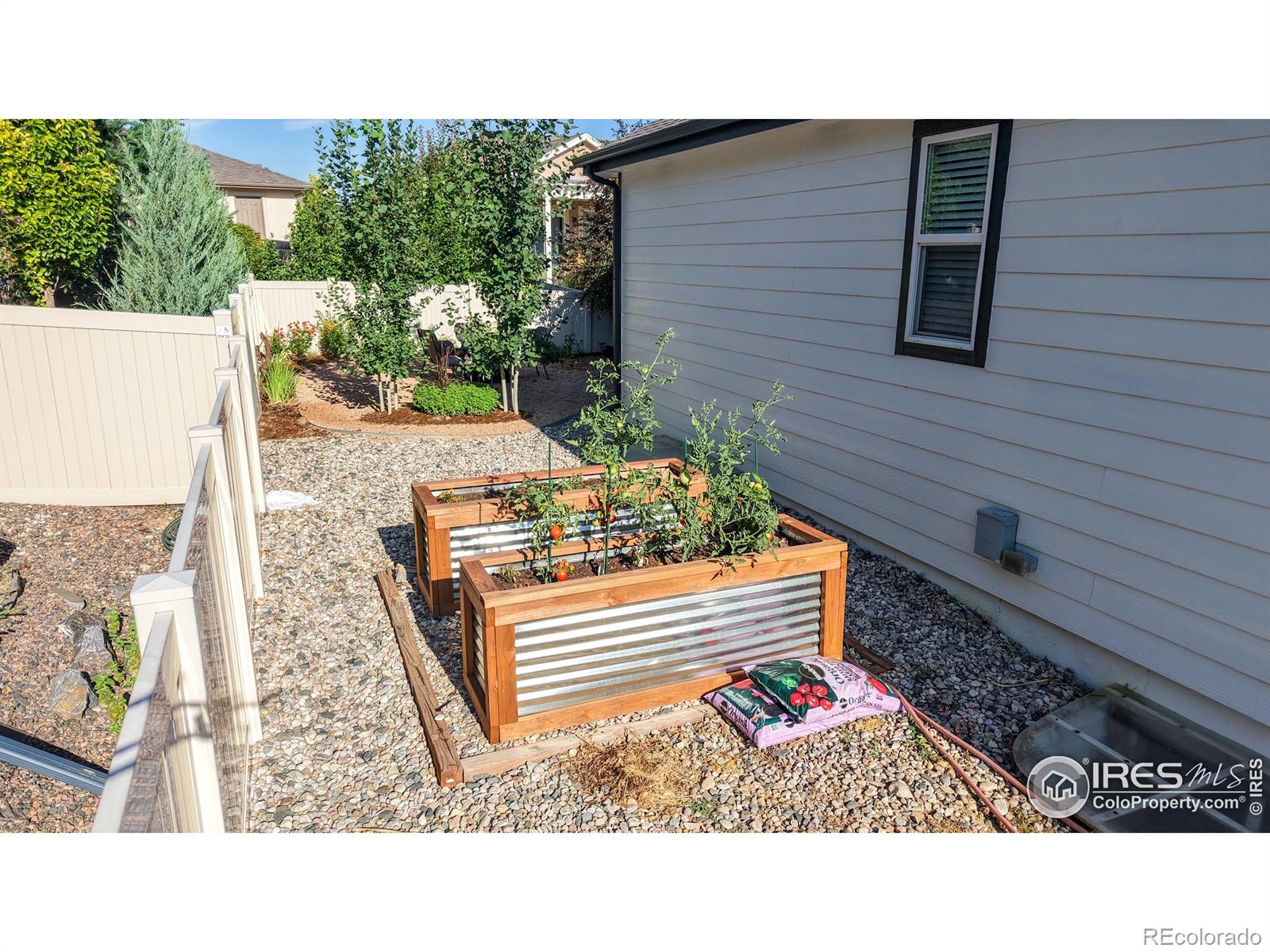 MLS Image #32 for 4605  freehold drive,windsor, Colorado