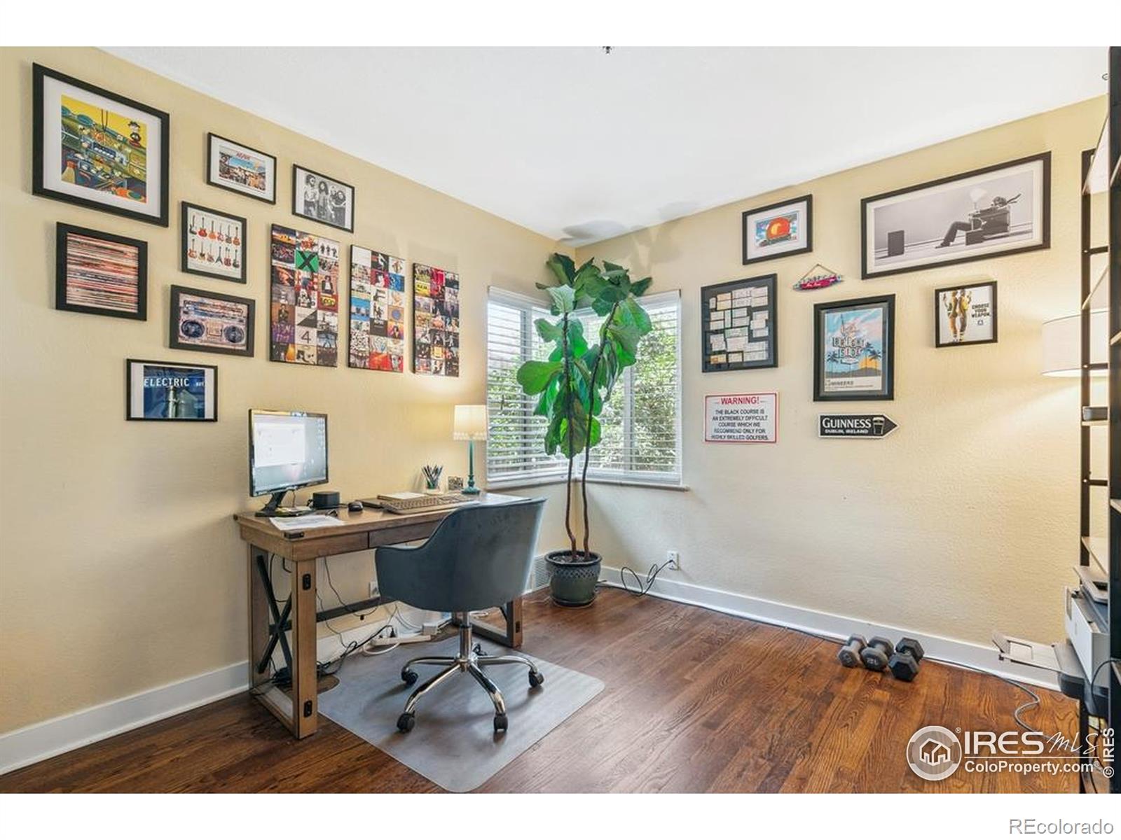 MLS Image #13 for 1173  niagara street,denver, Colorado