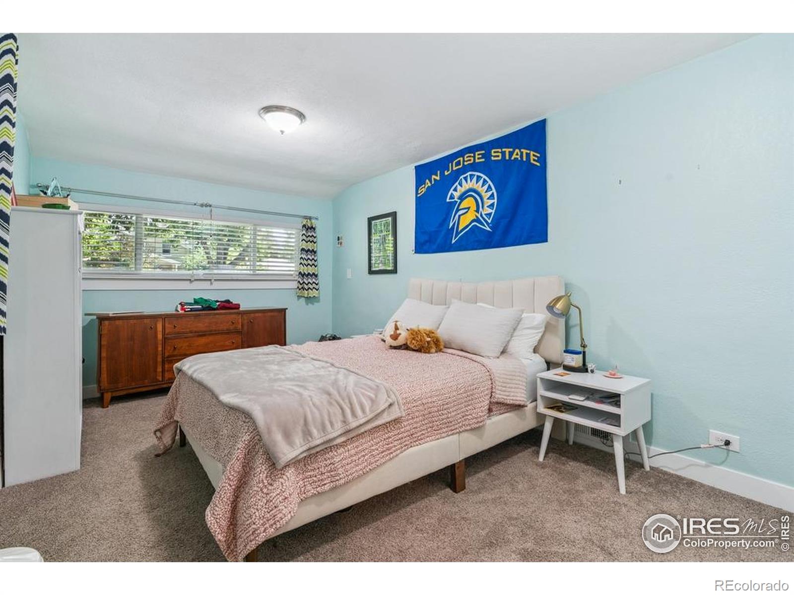 MLS Image #19 for 1173  niagara street,denver, Colorado