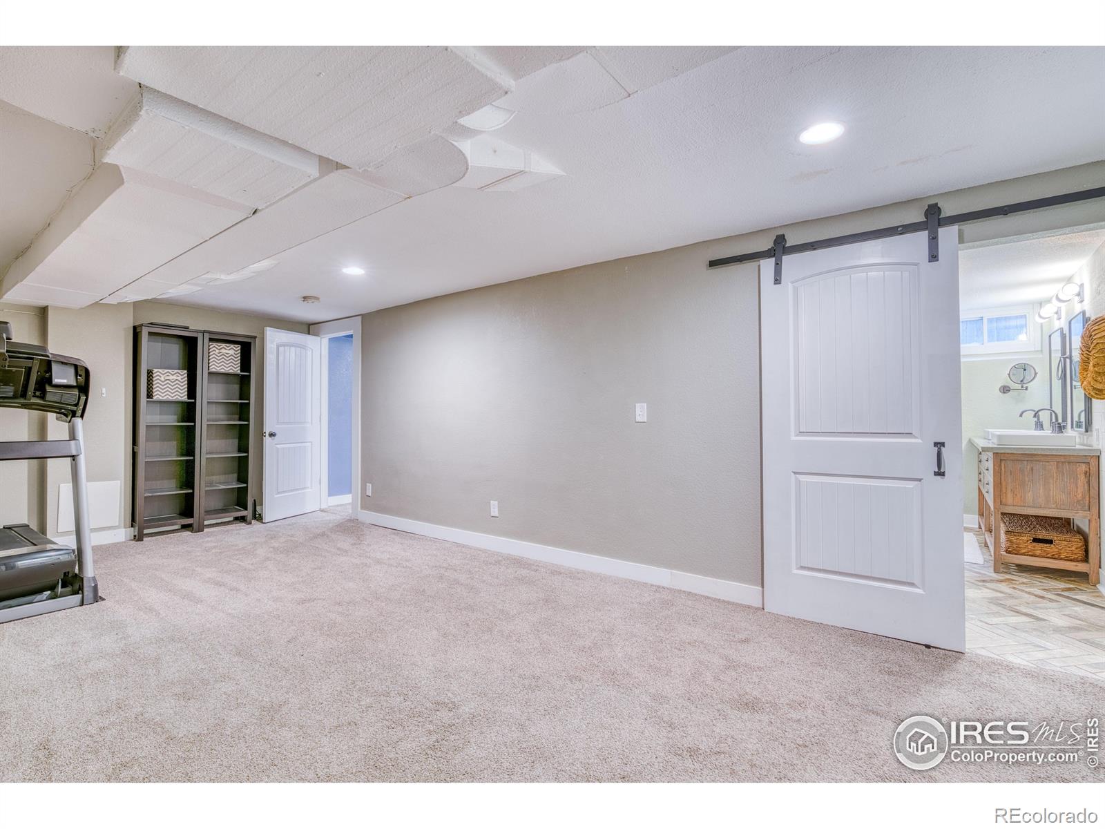 MLS Image #20 for 1173  niagara street,denver, Colorado