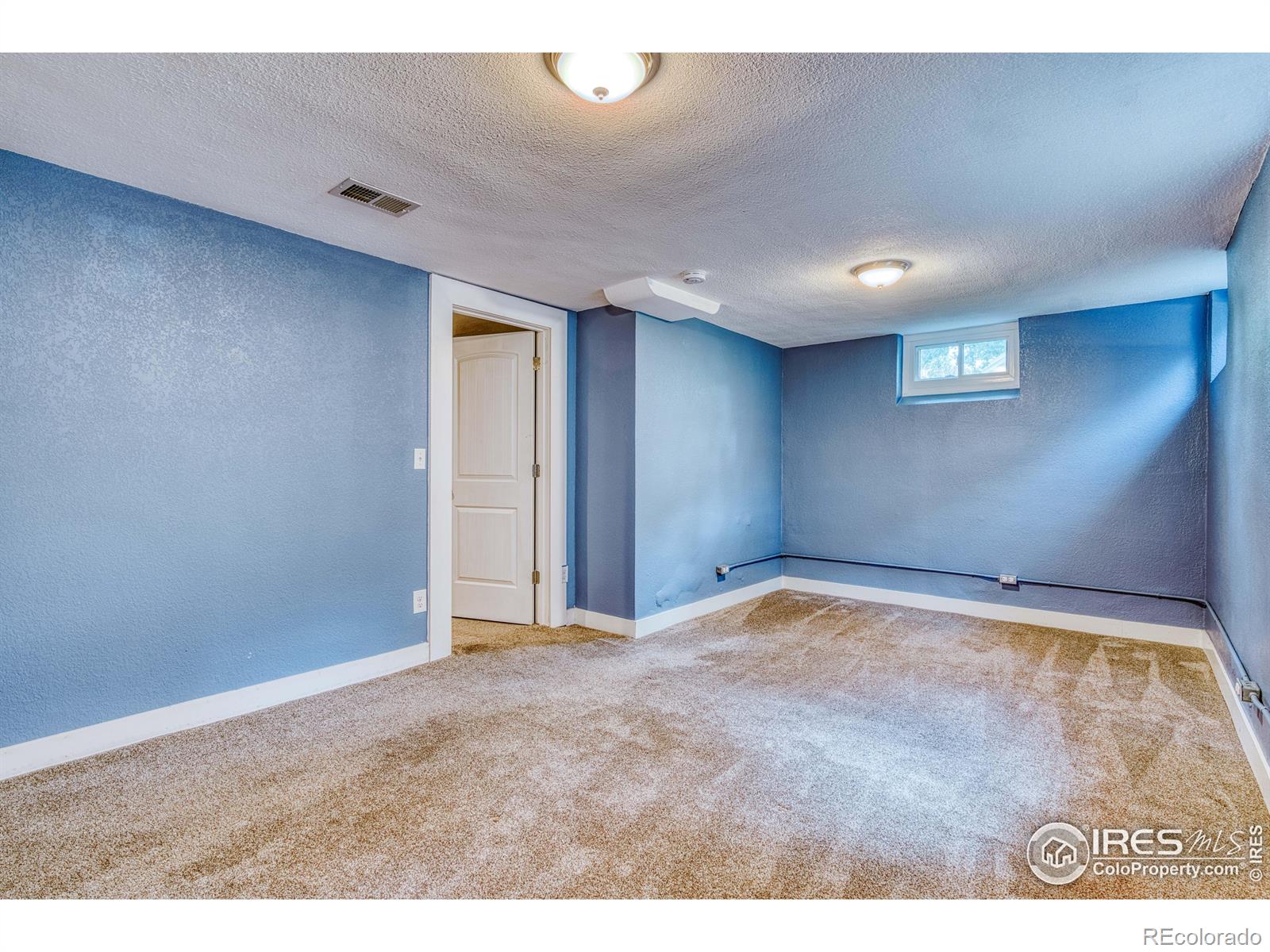 MLS Image #24 for 1173  niagara street,denver, Colorado
