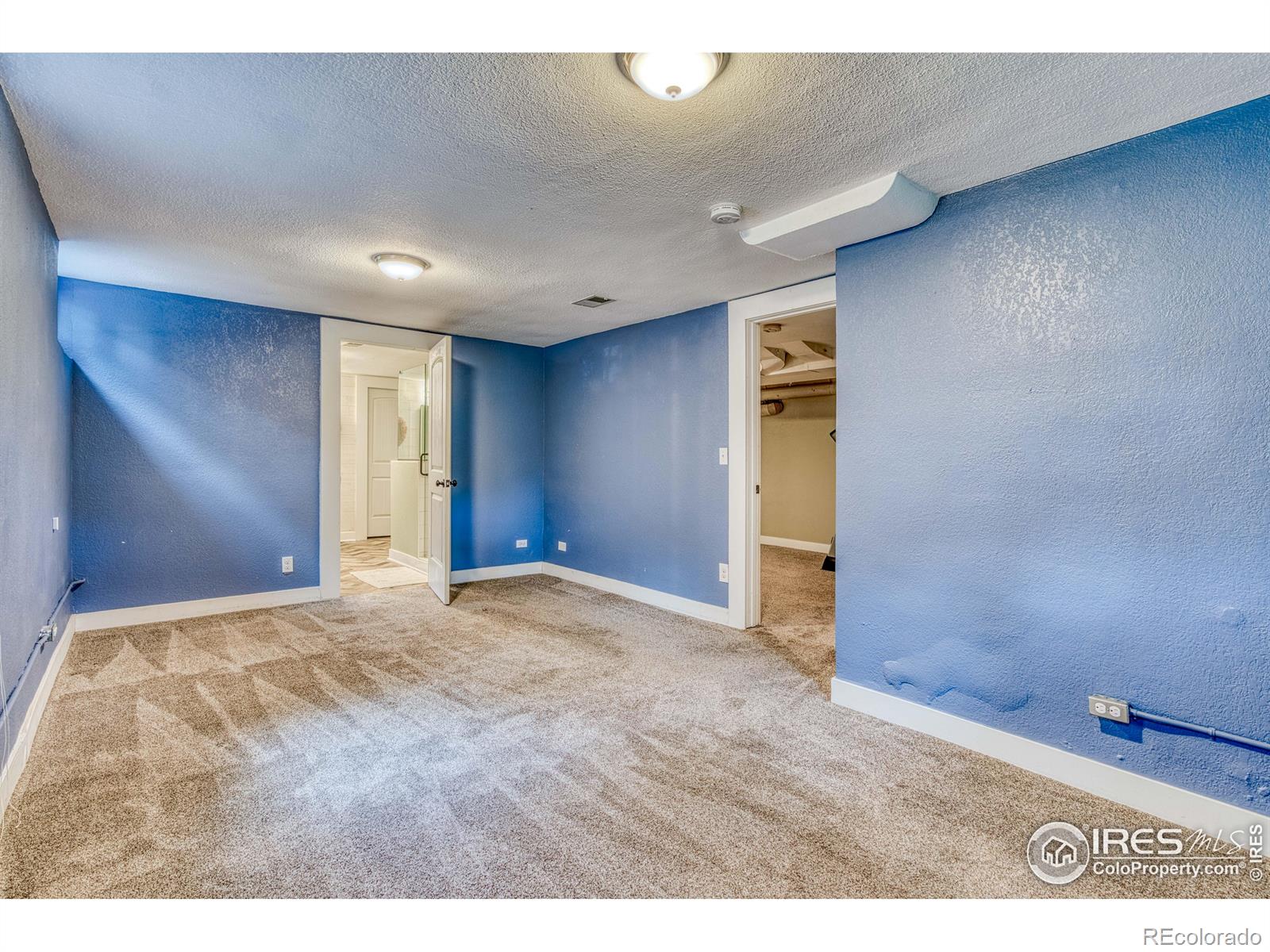 MLS Image #25 for 1173  niagara street,denver, Colorado