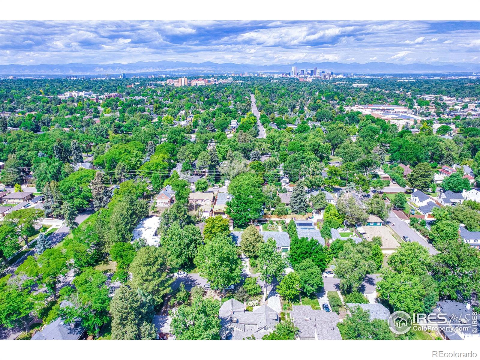 MLS Image #33 for 1173  niagara street,denver, Colorado