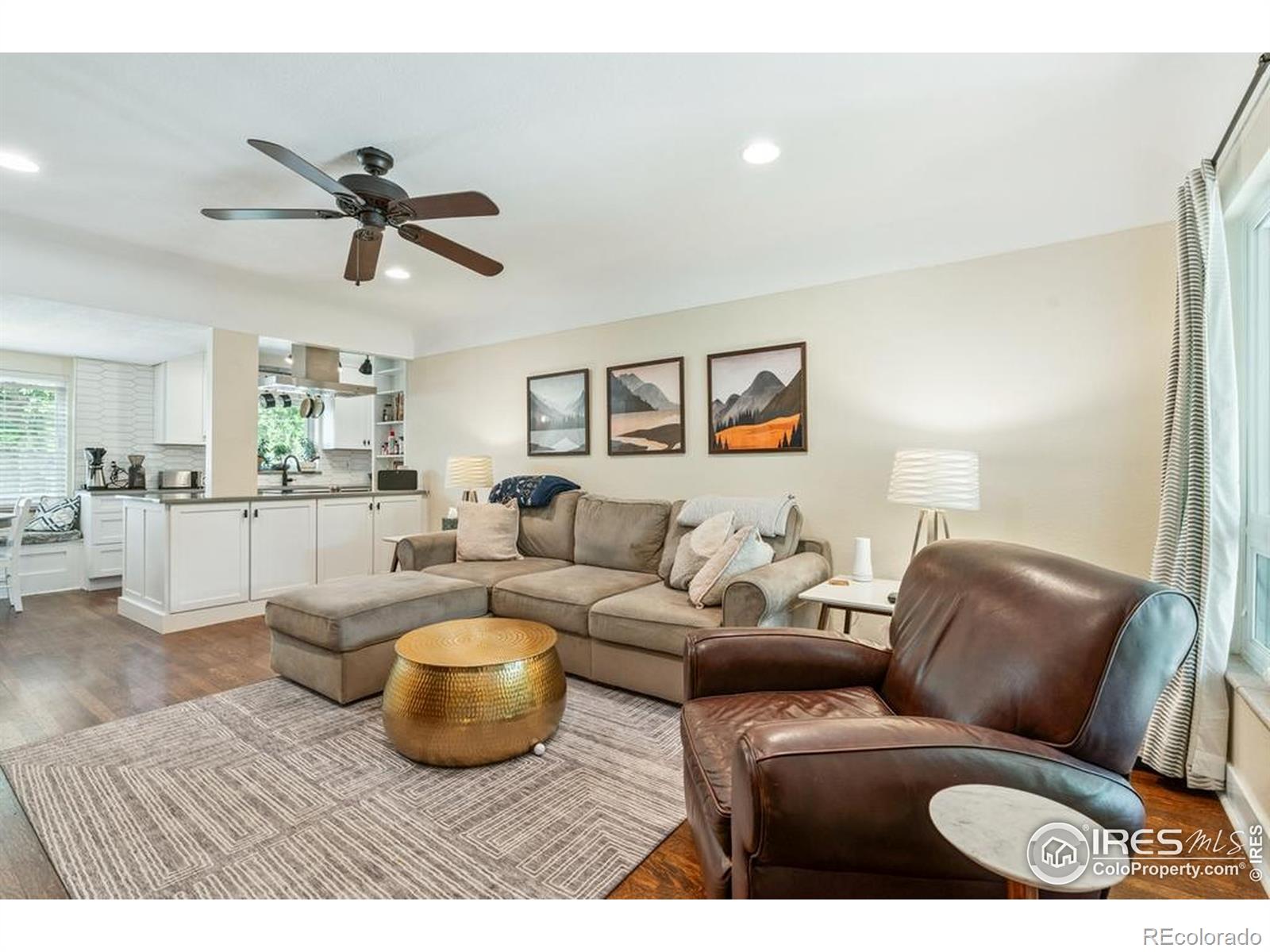 MLS Image #4 for 1173  niagara street,denver, Colorado
