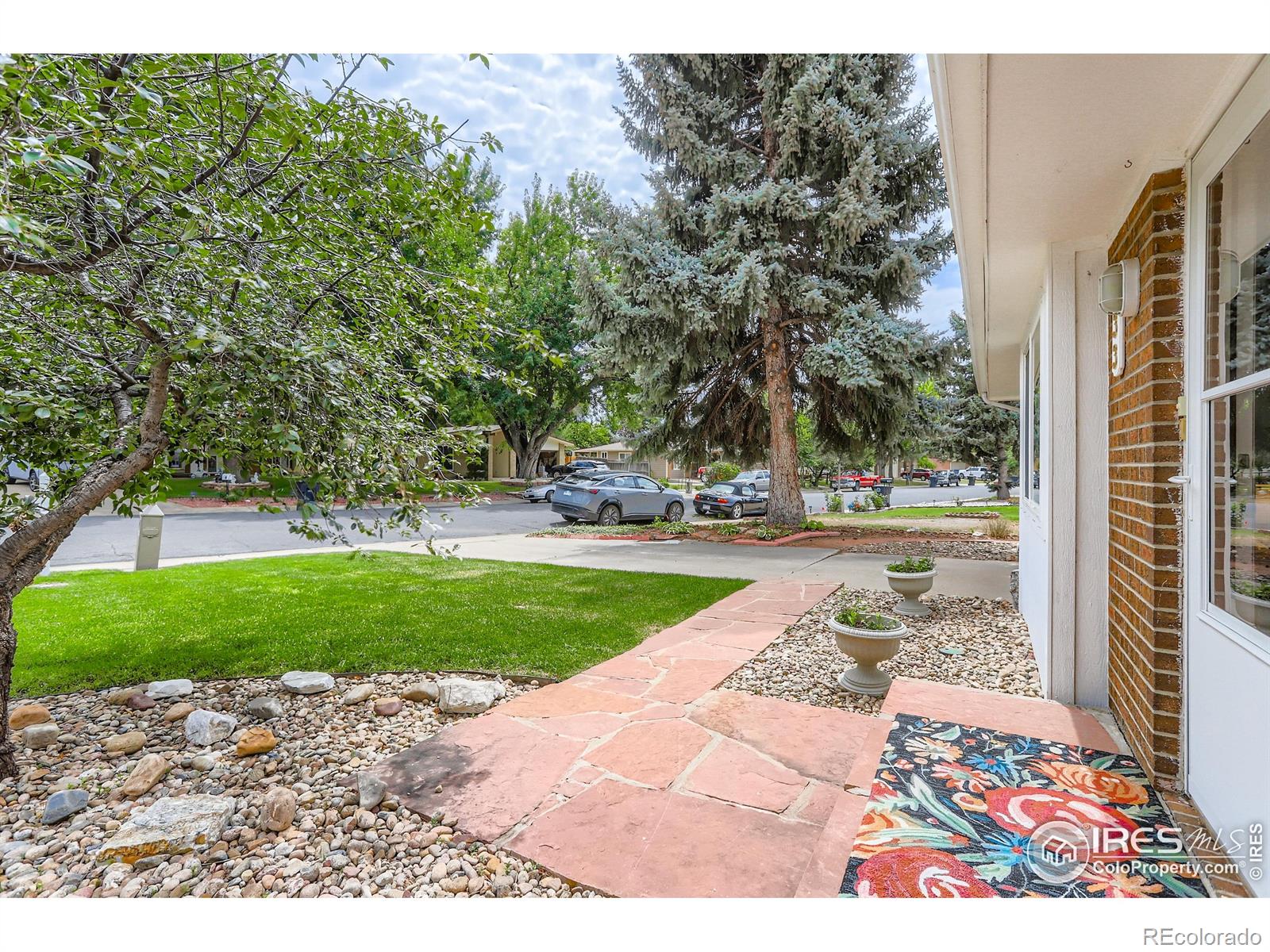 MLS Image #4 for 633  hilltop street,longmont, Colorado