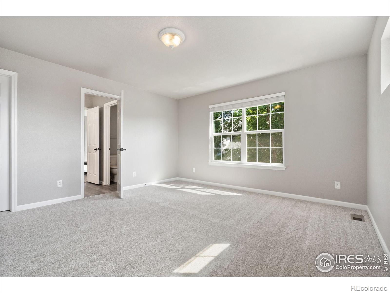 MLS Image #21 for 1508  forrestal drive,fort collins, Colorado