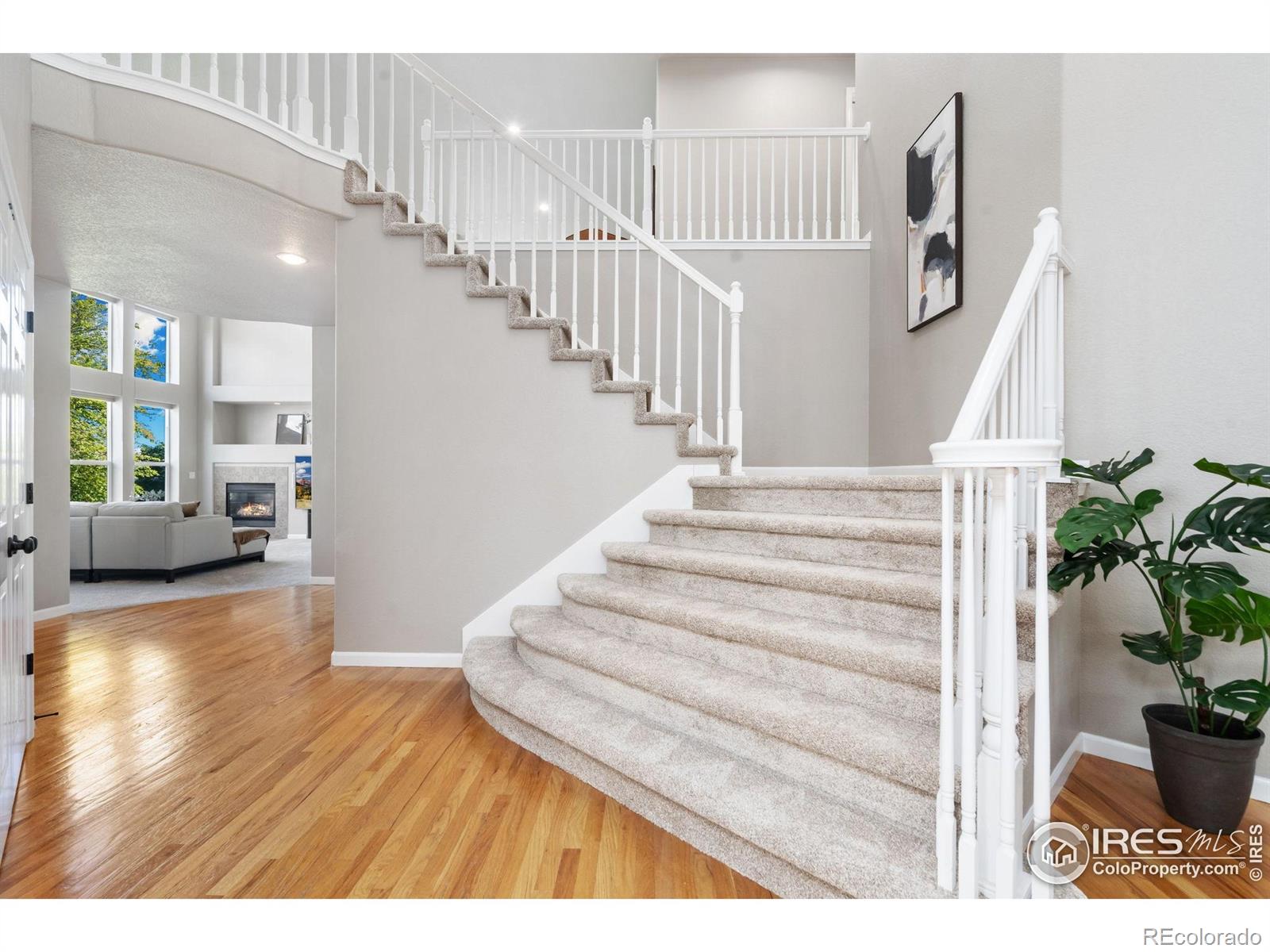 MLS Image #4 for 1508  forrestal drive,fort collins, Colorado