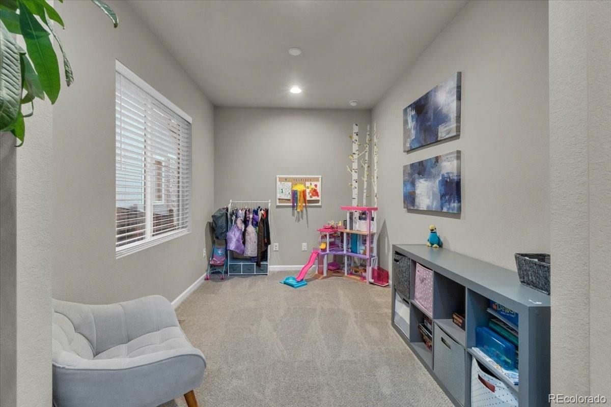 MLS Image #10 for 4688  basalt ridge circle,castle rock, Colorado