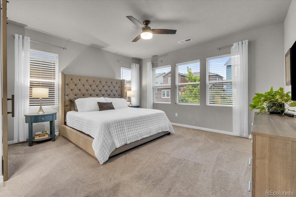 MLS Image #12 for 4688  basalt ridge circle,castle rock, Colorado