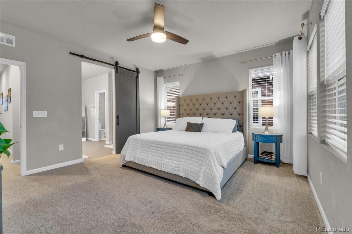 MLS Image #13 for 4688  basalt ridge circle,castle rock, Colorado