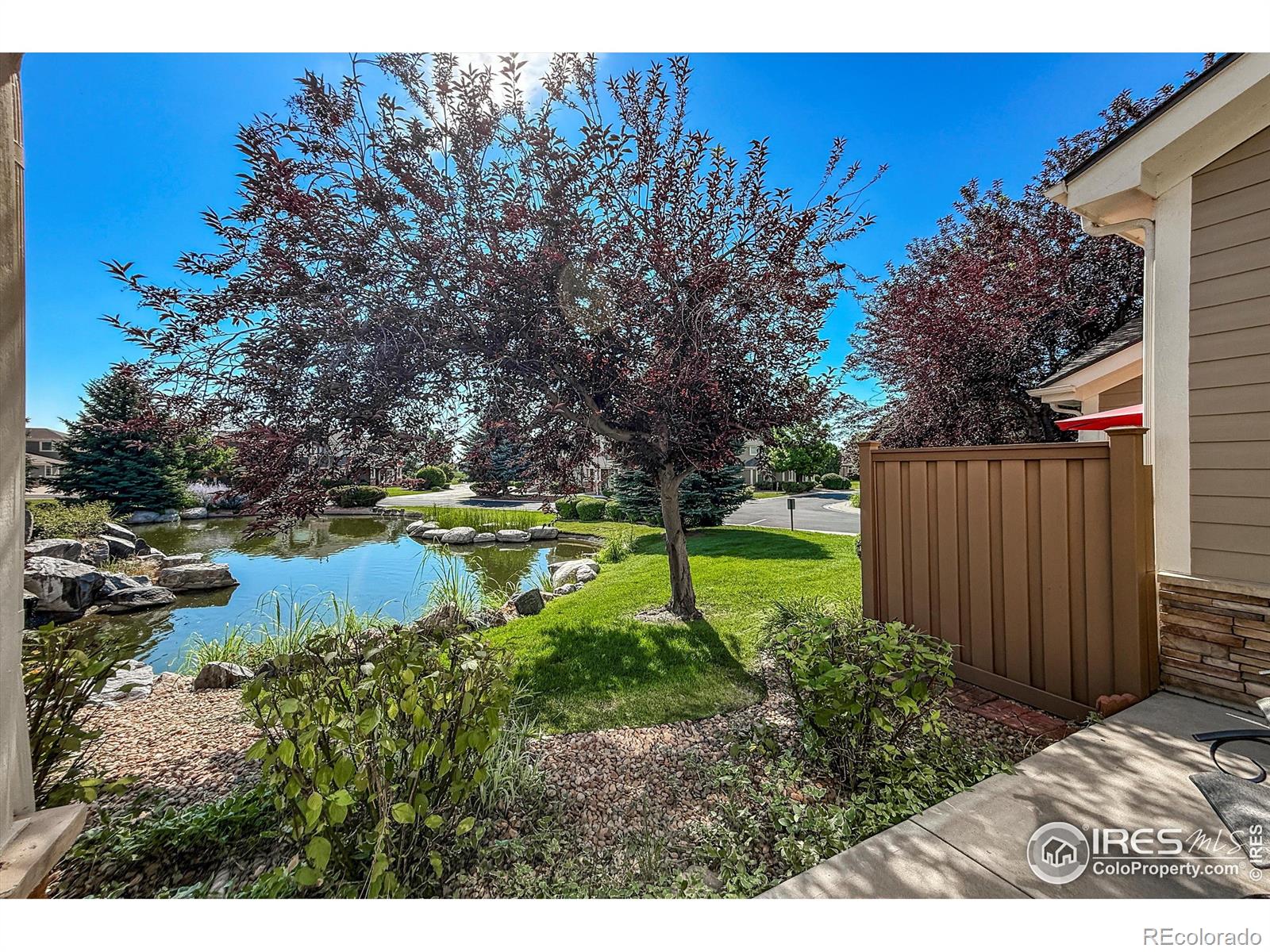 MLS Image #29 for 13716  legend trail,broomfield, Colorado