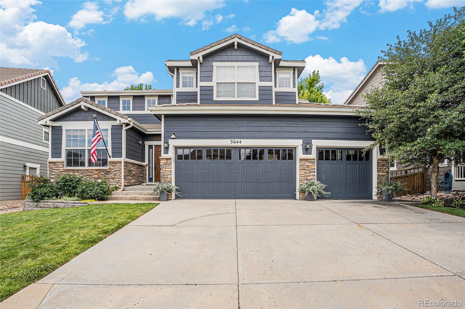 MLS Image #0 for 3644  sunridge terrace drive,castle rock, Colorado