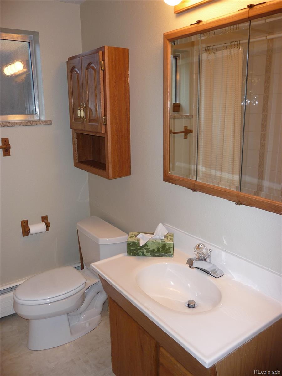 MLS Image #12 for 2411 s josephine street,denver, Colorado