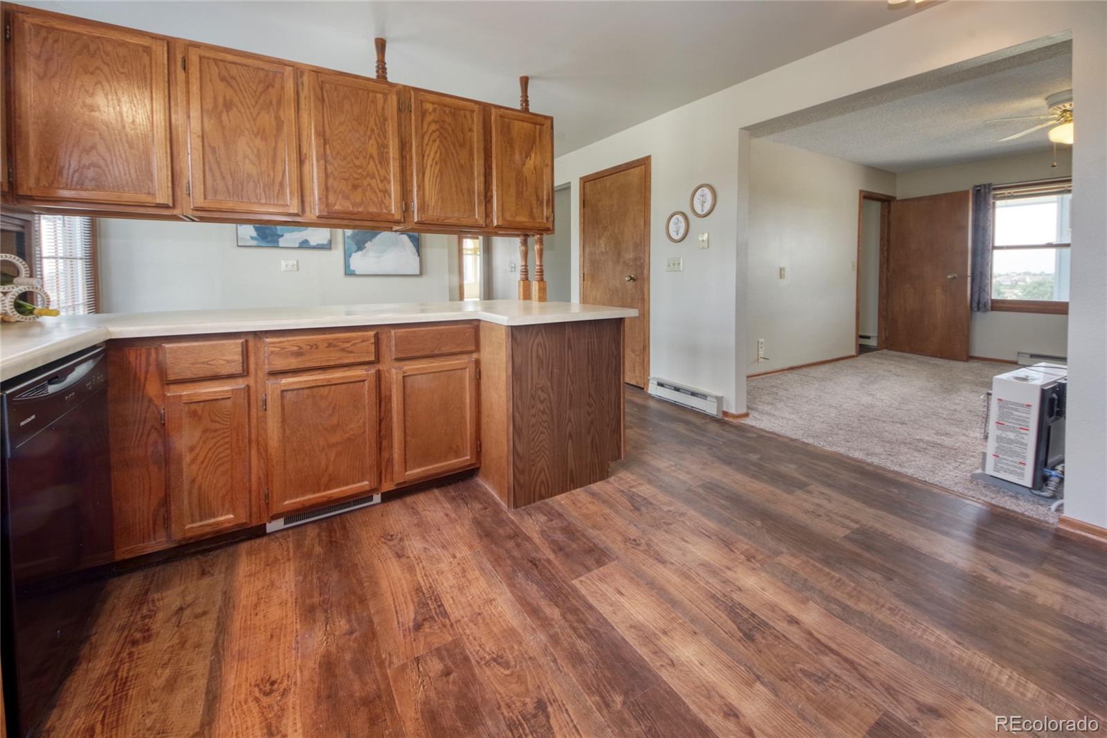 MLS Image #4 for 10995  squawbush loop,peyton, Colorado