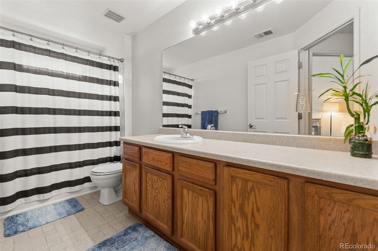 MLS Image #21 for 18611 e water drive,aurora, Colorado