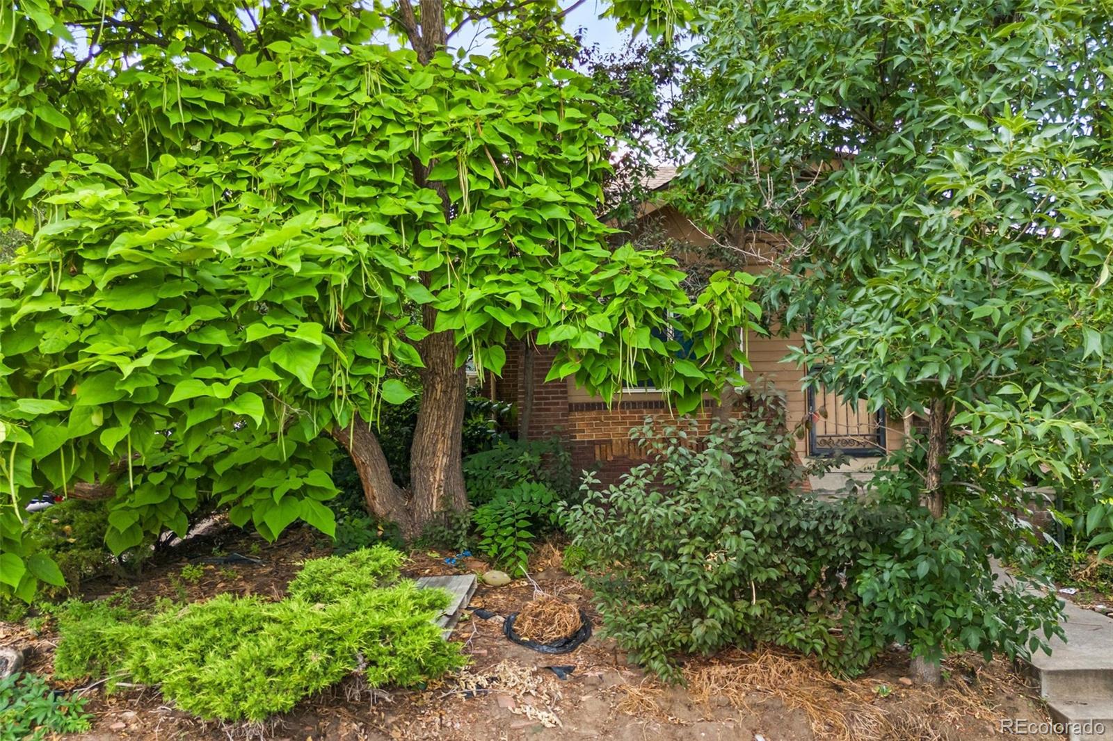 MLS Image #31 for 4509  stuart street,denver, Colorado