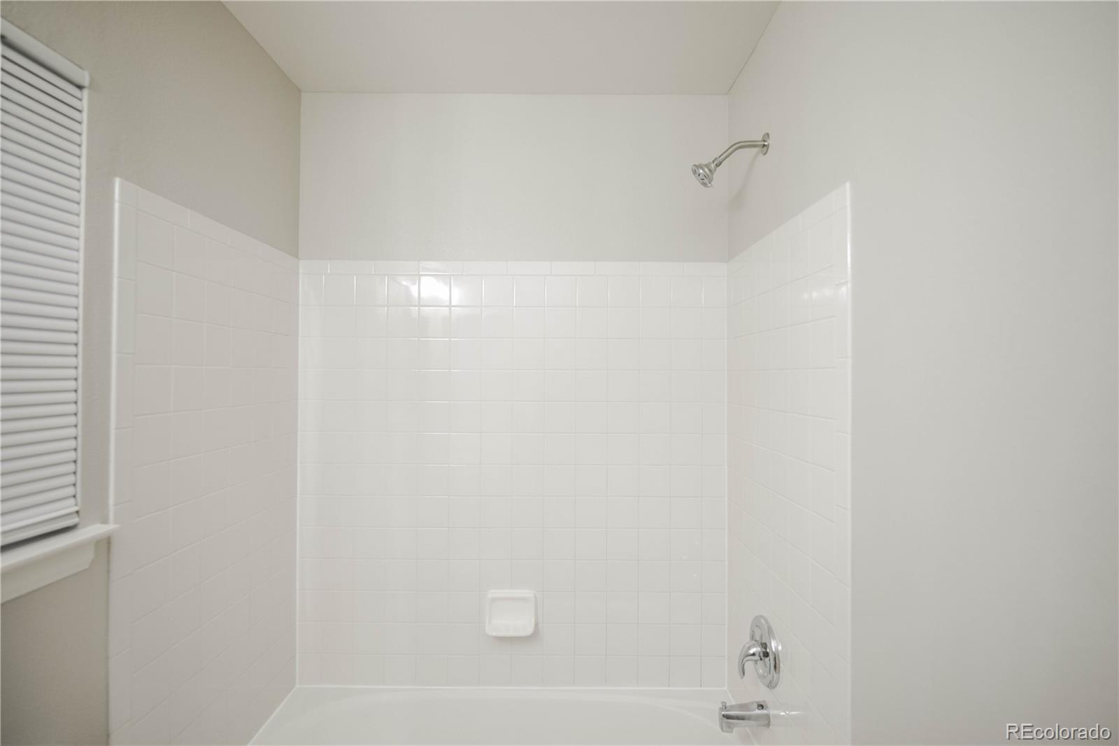 MLS Image #14 for 20396  willowbend lane,parker, Colorado