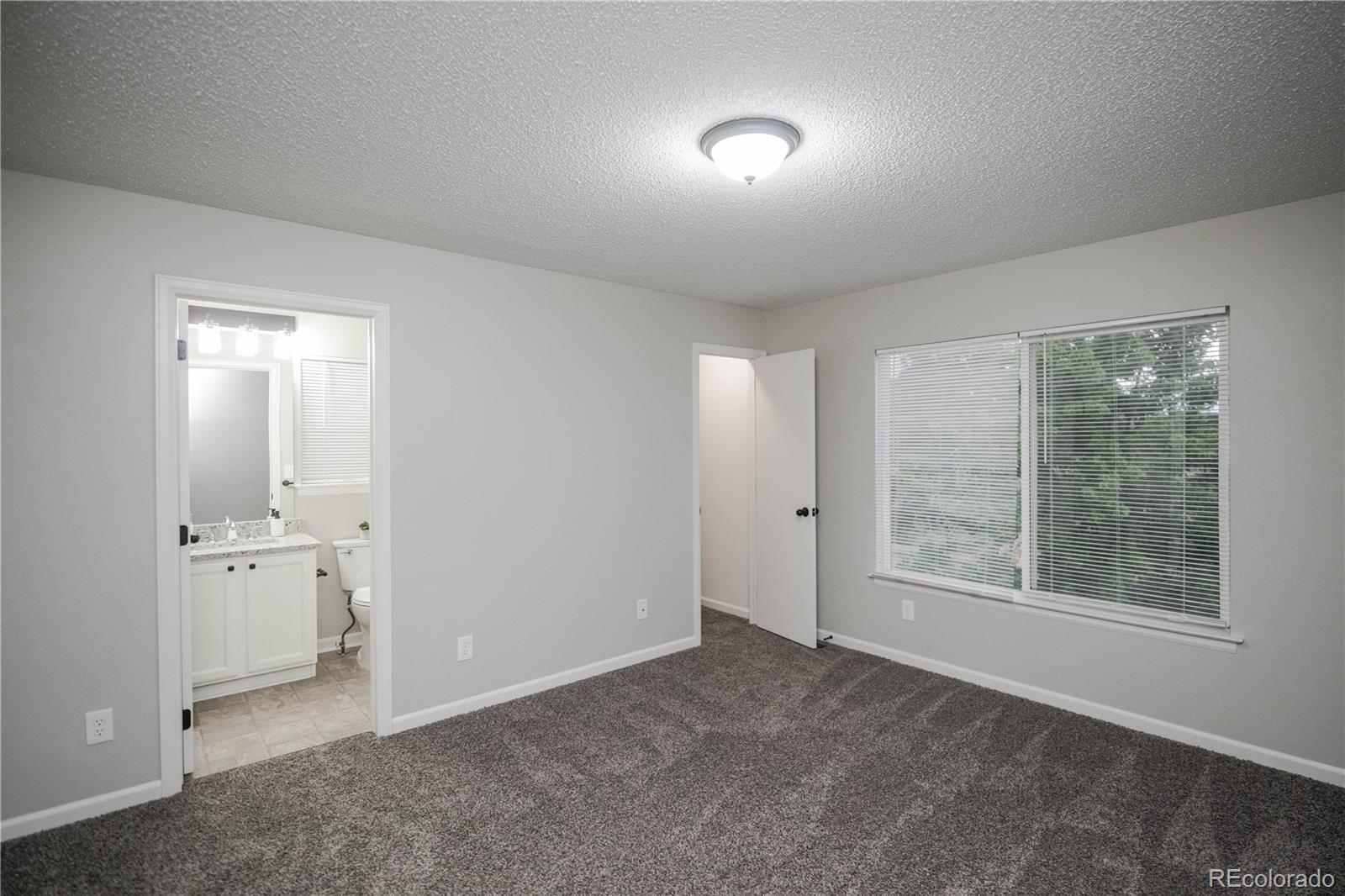 MLS Image #17 for 20396  willowbend lane,parker, Colorado
