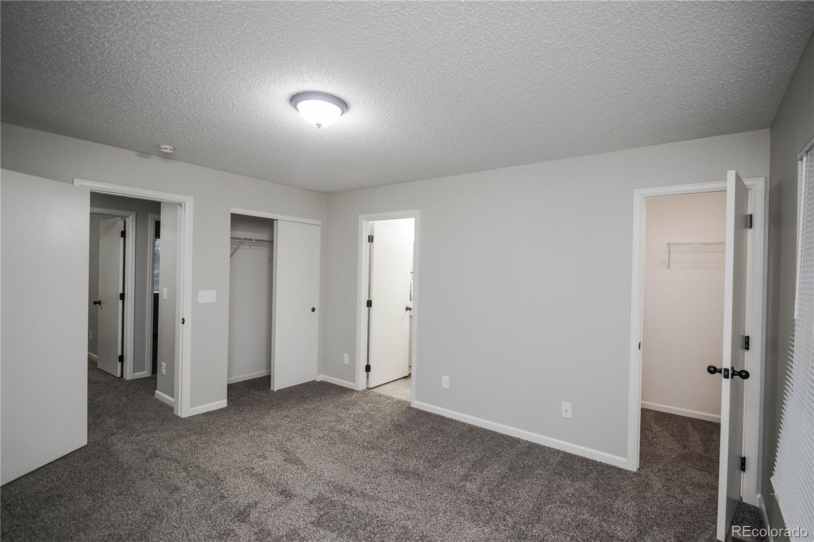 MLS Image #18 for 20396  willowbend lane,parker, Colorado