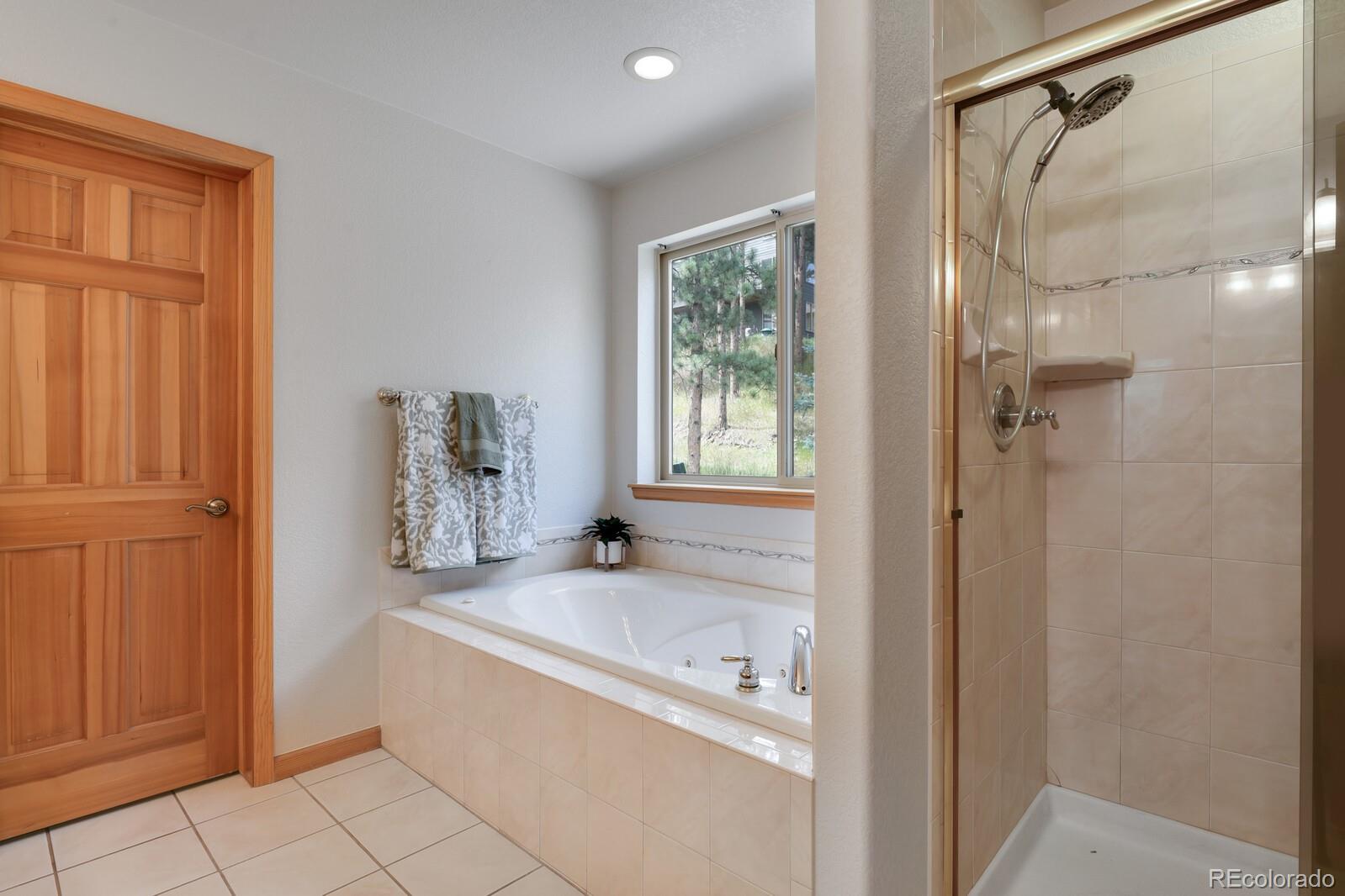 MLS Image #24 for 3118  moonshadow lane,evergreen, Colorado