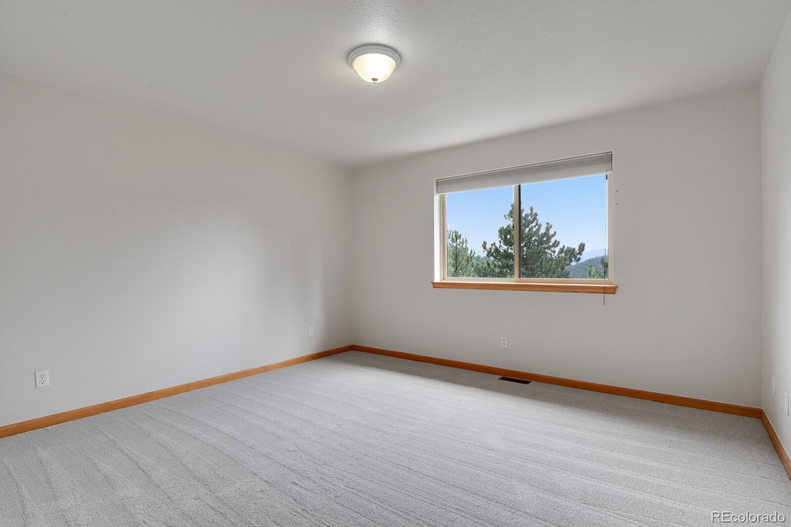 MLS Image #29 for 3118  moonshadow lane,evergreen, Colorado