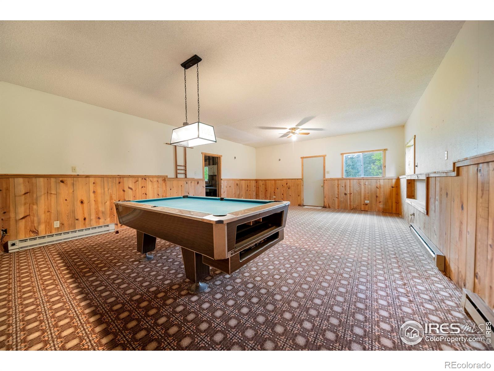 MLS Image #17 for 329  snow top drive,drake, Colorado