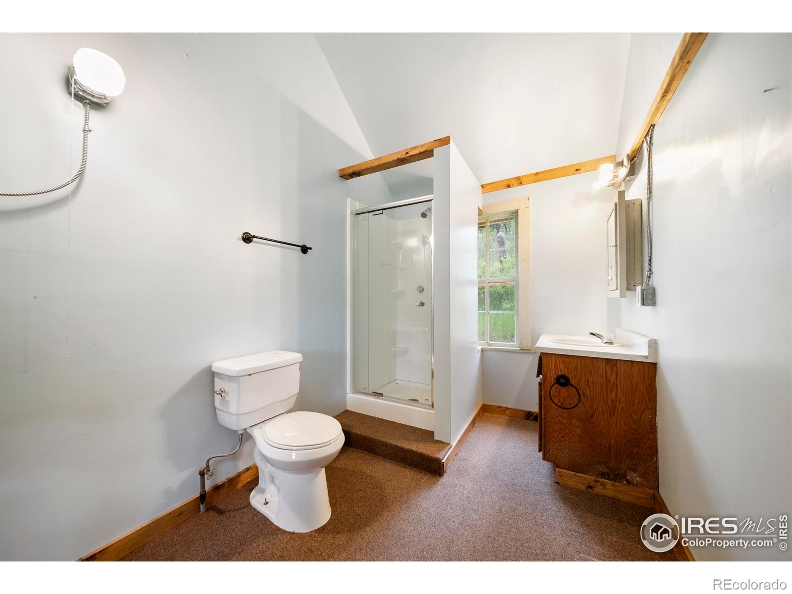 MLS Image #24 for 329  snow top drive,drake, Colorado