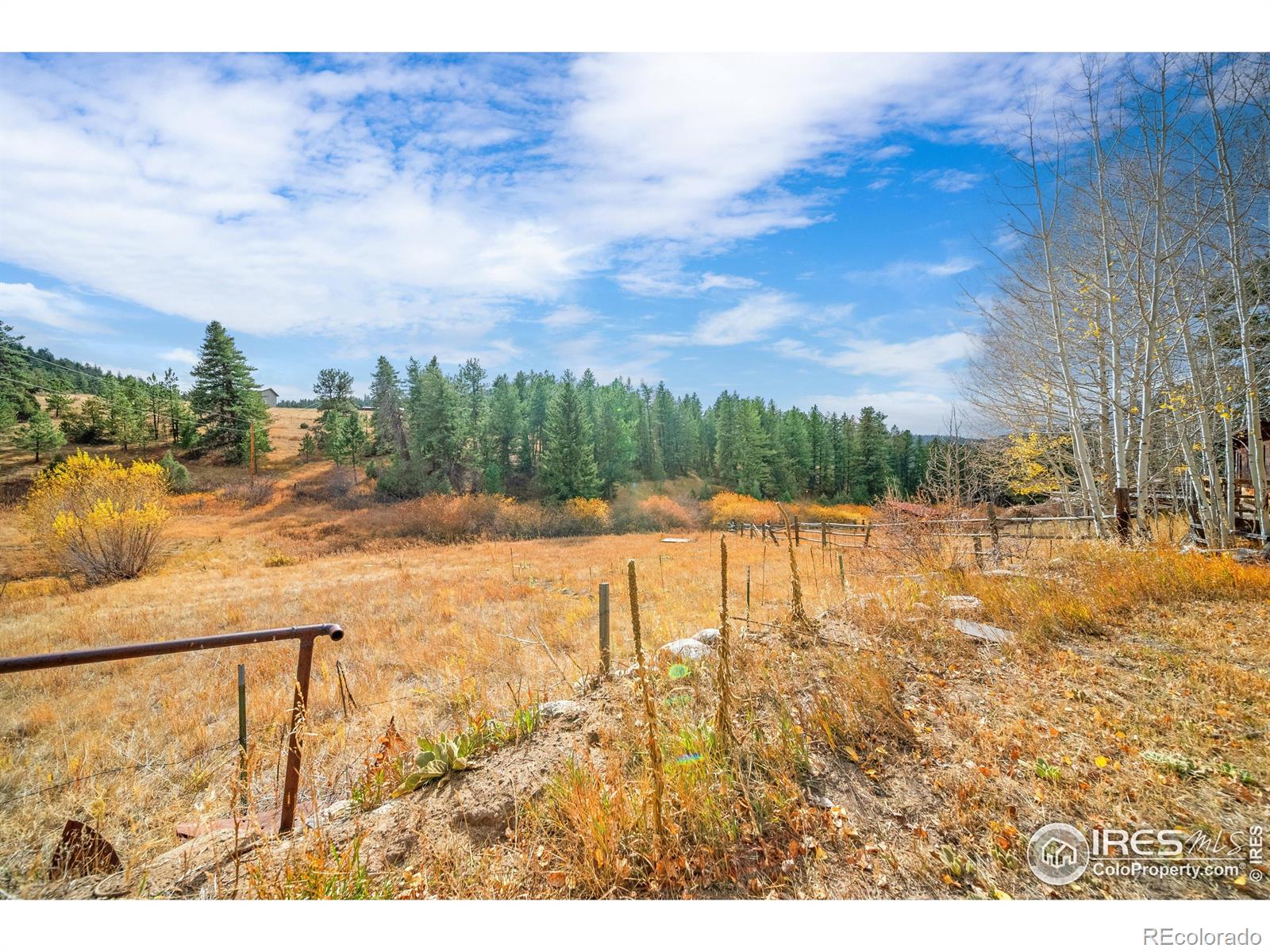 MLS Image #34 for 329  snow top drive,drake, Colorado