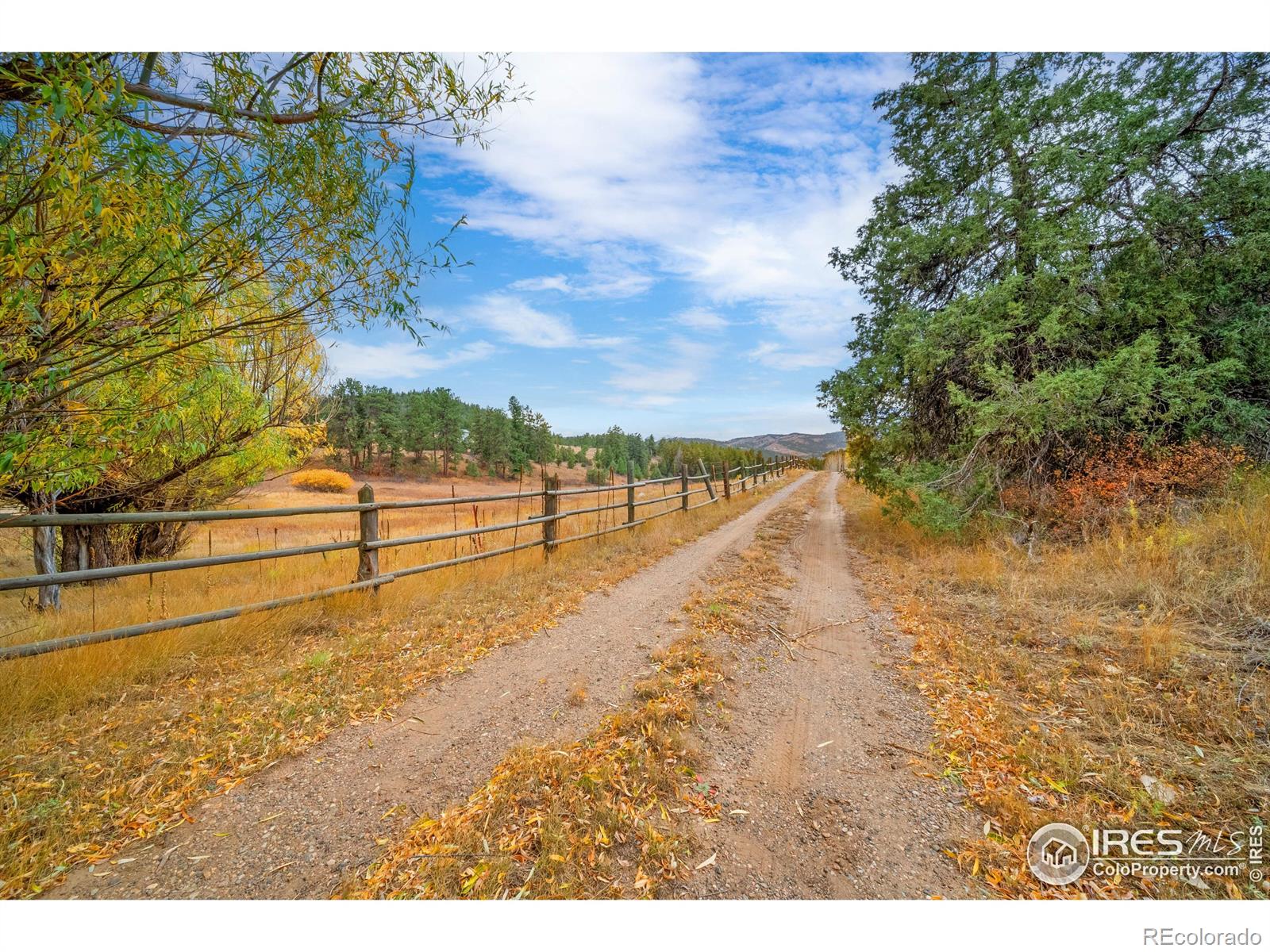 MLS Image #36 for 329  snow top drive,drake, Colorado