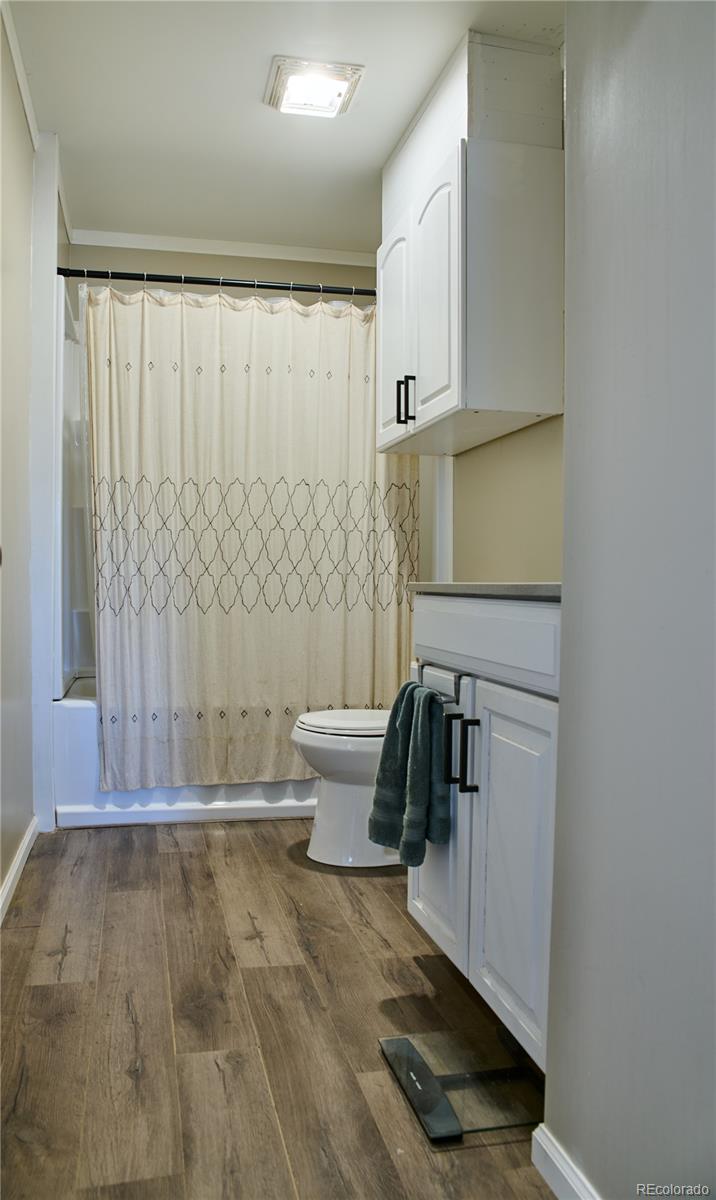 MLS Image #15 for 786  margie lane,fort garland, Colorado