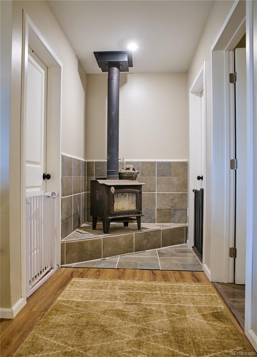MLS Image #3 for 786  margie lane,fort garland, Colorado