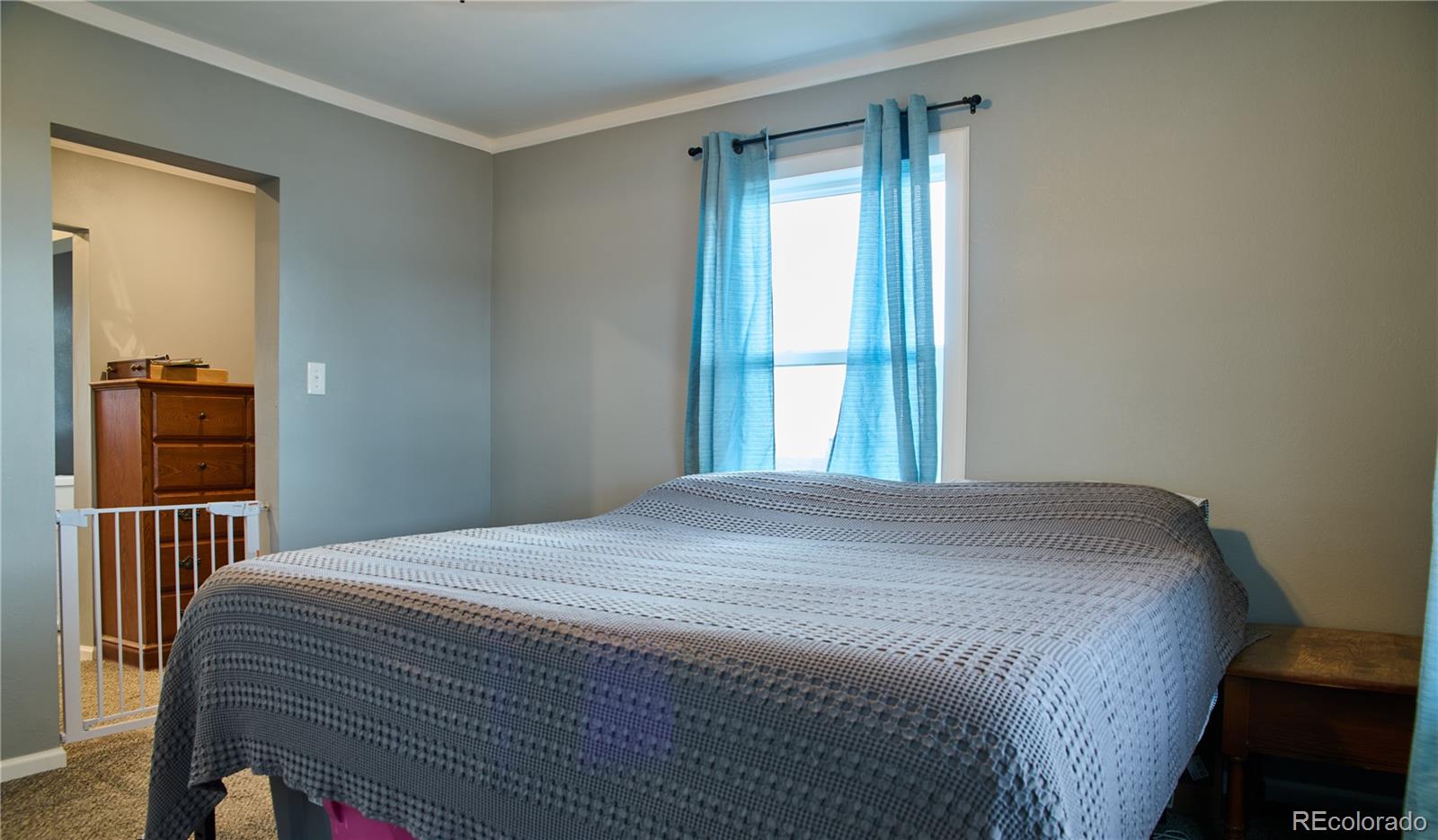 MLS Image #8 for 786  margie lane,fort garland, Colorado