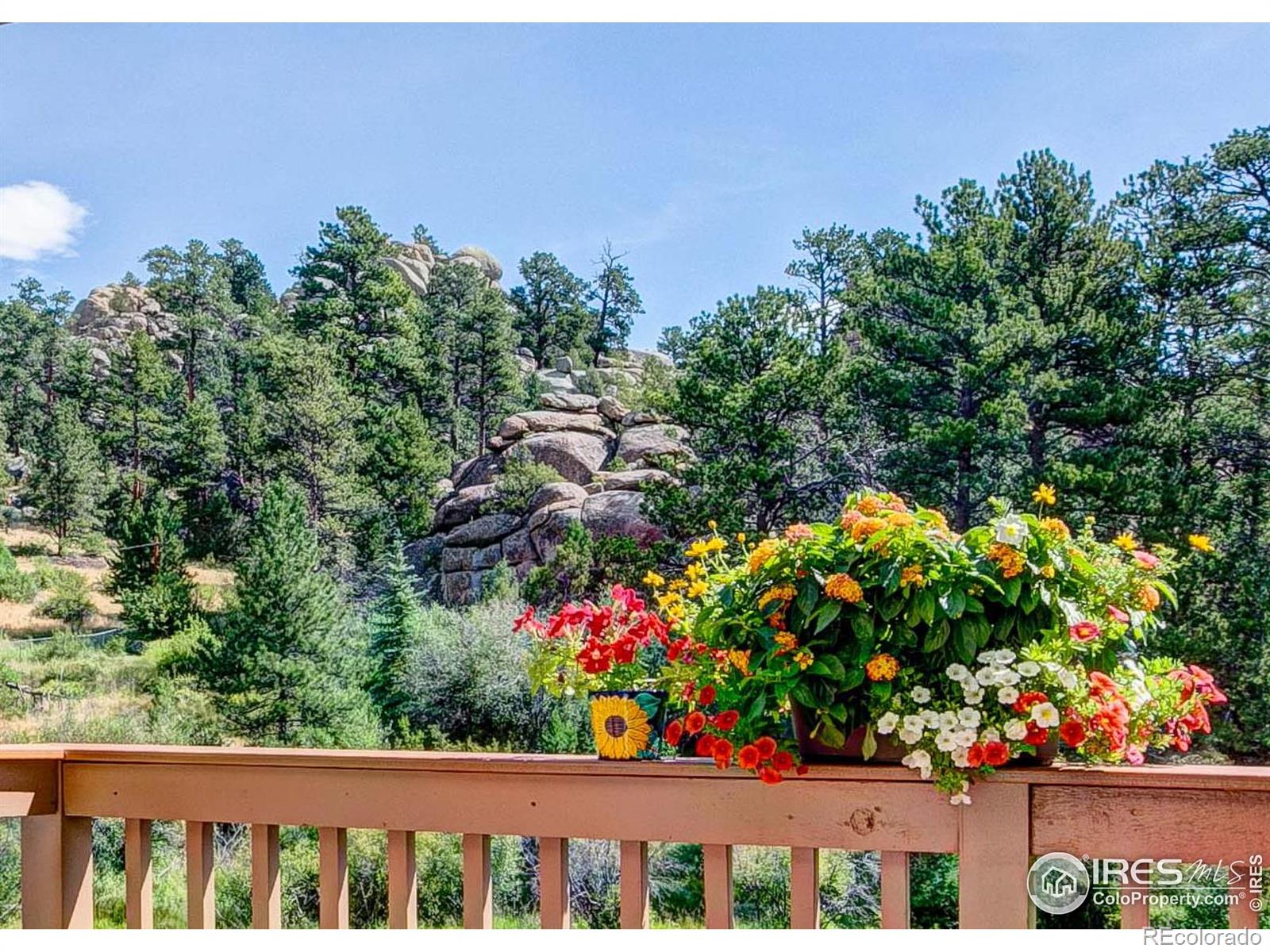 MLS Image #15 for 490  macgregor avenue,estes park, Colorado