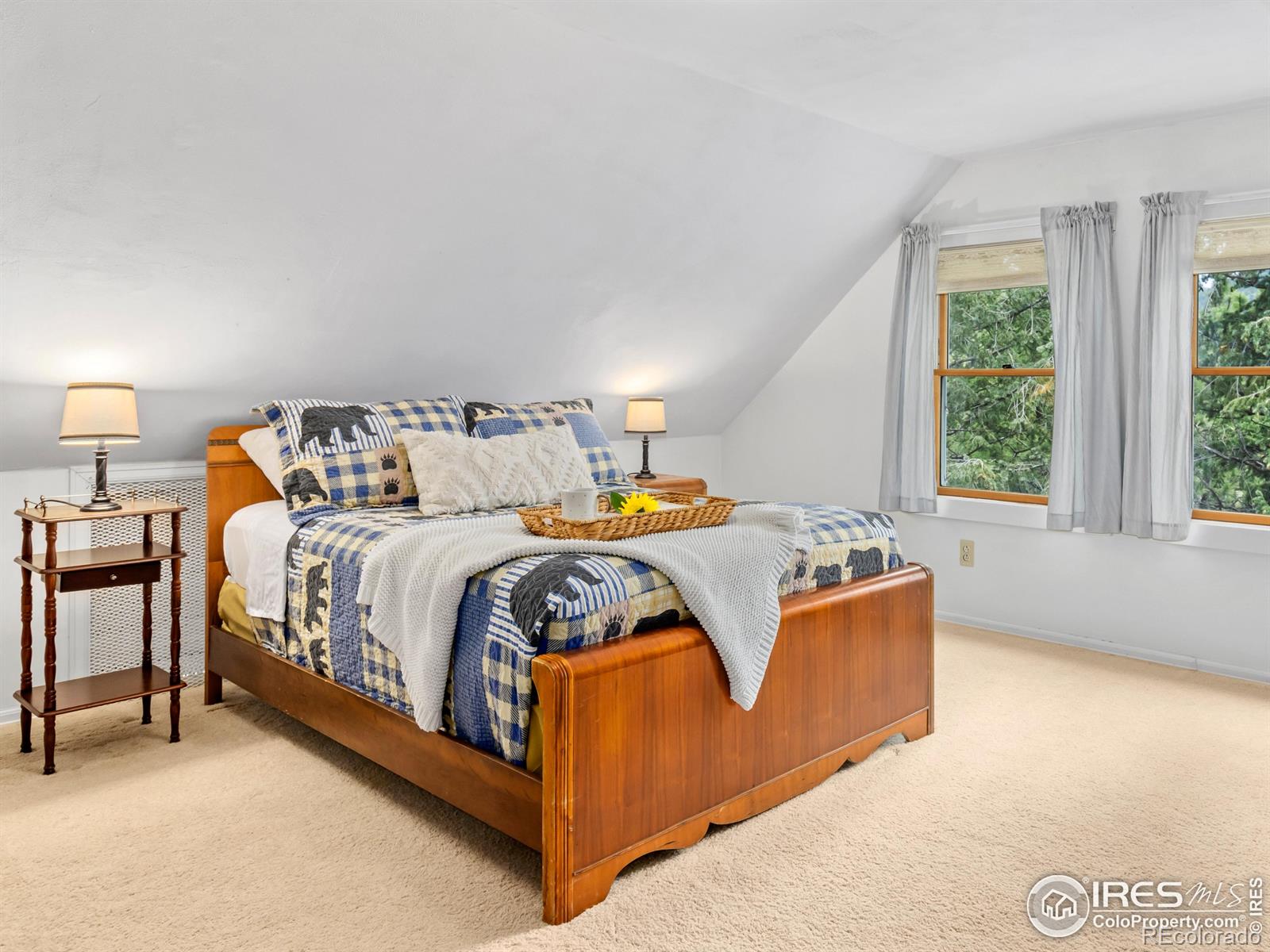 MLS Image #11 for 745  hickory drive,lyons, Colorado