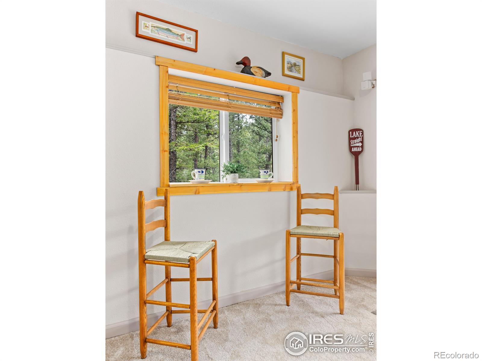 MLS Image #18 for 745  hickory drive,lyons, Colorado