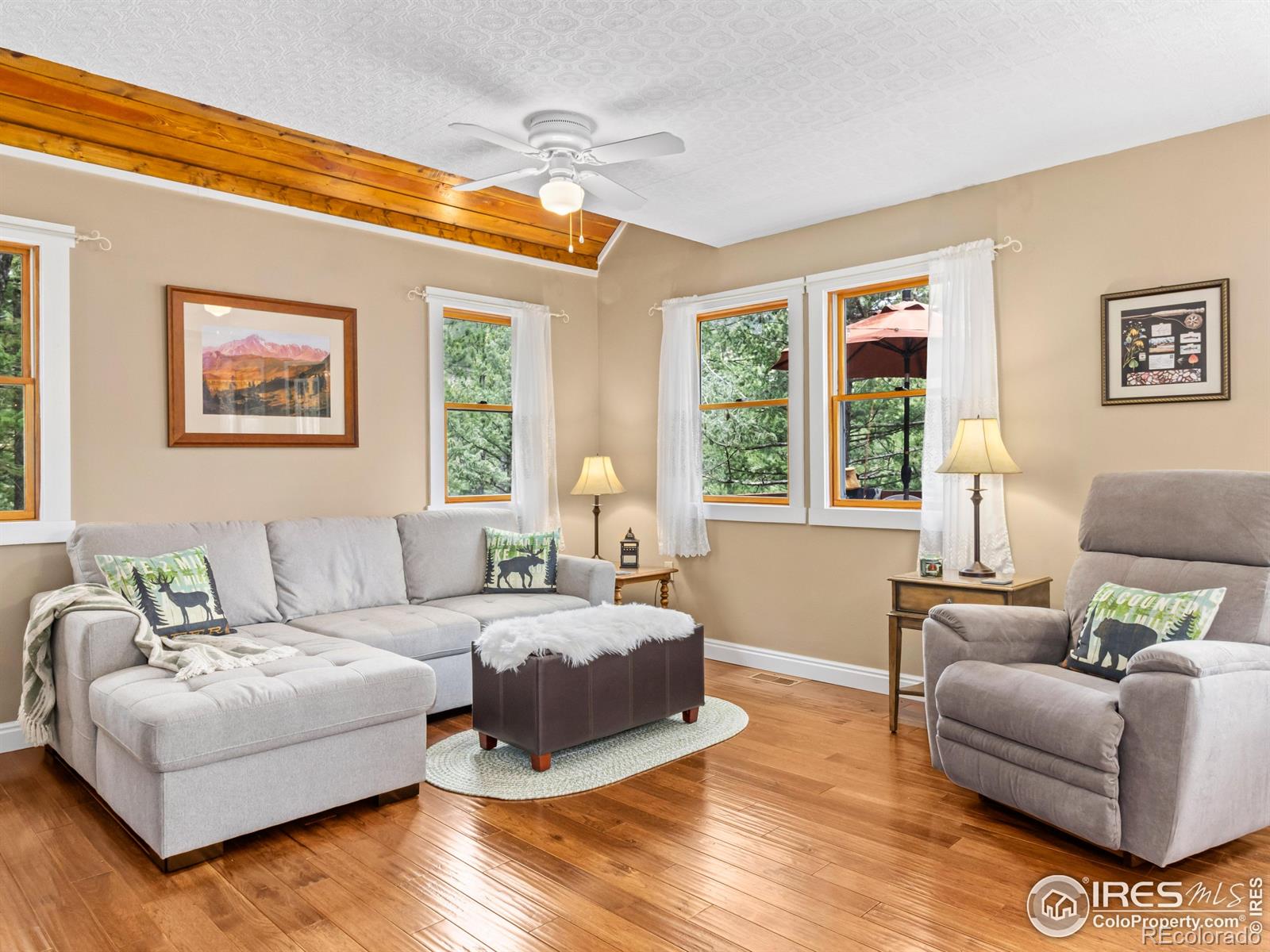 MLS Image #5 for 745  hickory drive,lyons, Colorado
