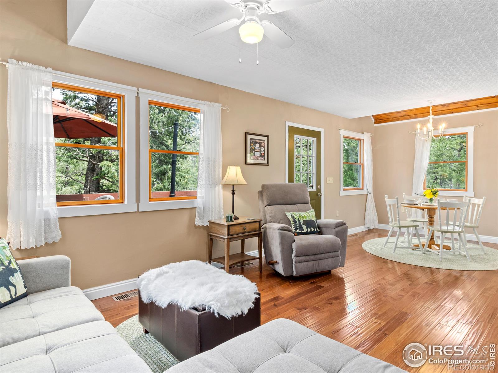 MLS Image #6 for 745  hickory drive,lyons, Colorado