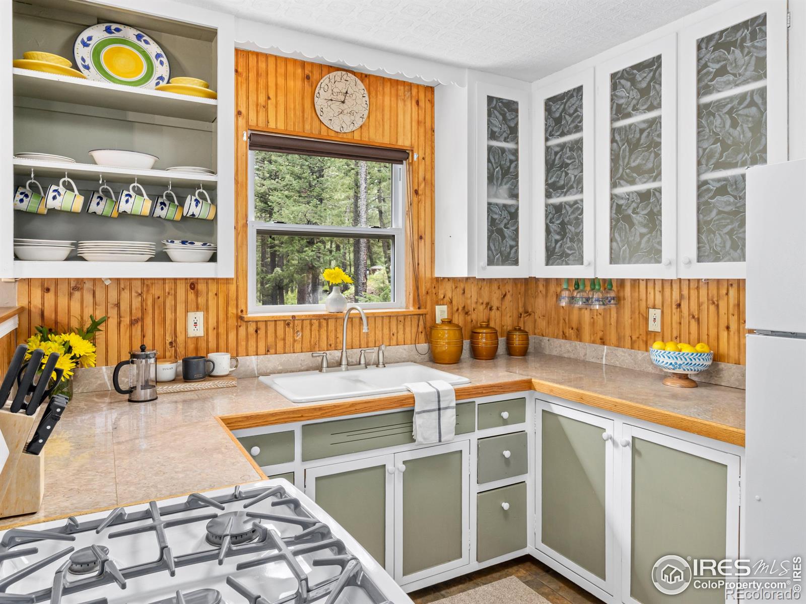 MLS Image #7 for 745  hickory drive,lyons, Colorado