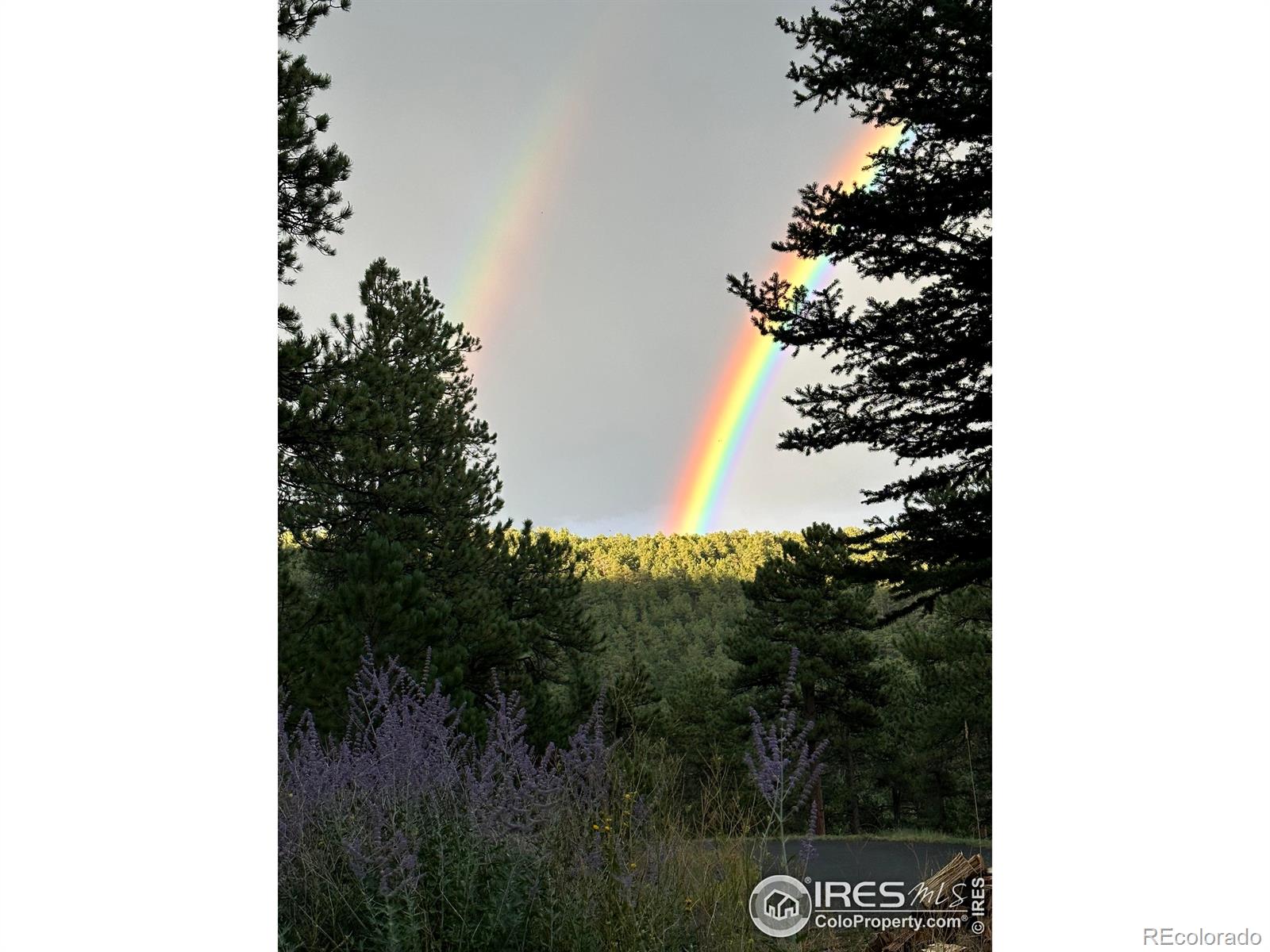 MLS Image #39 for 524  cutter lane,boulder, Colorado