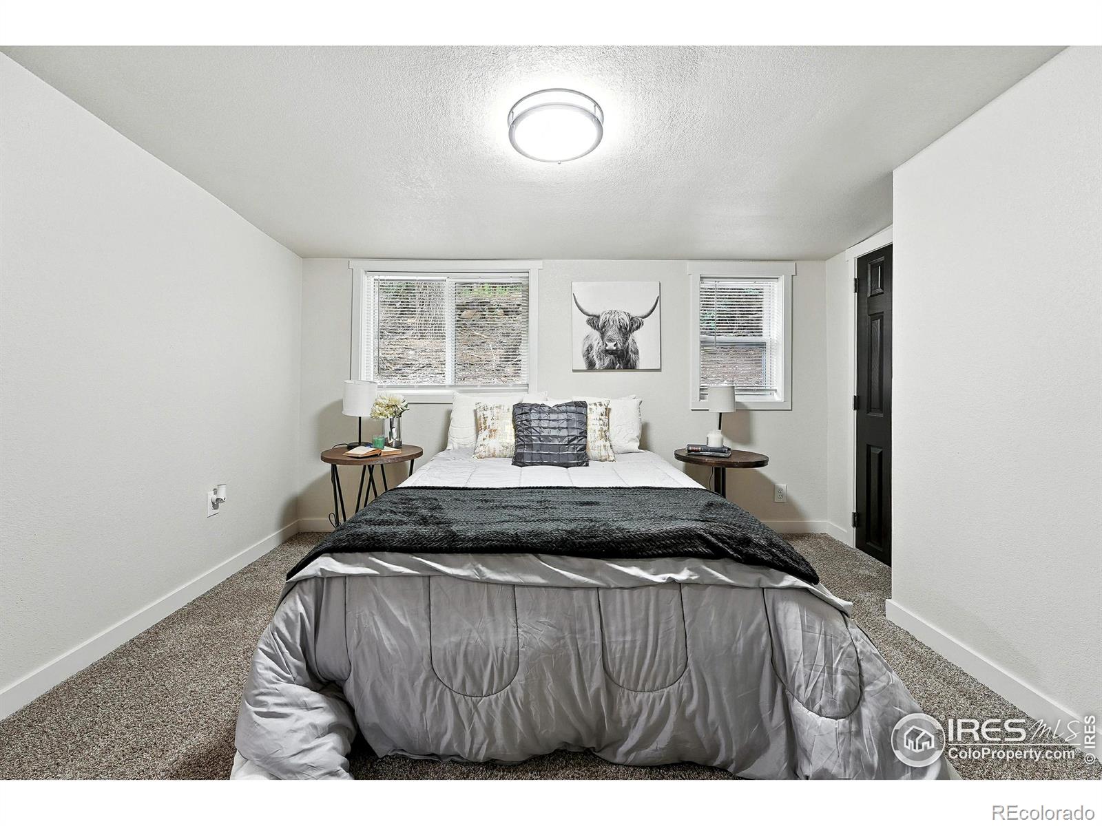 MLS Image #30 for 10031  hummingbird lane,loveland, Colorado