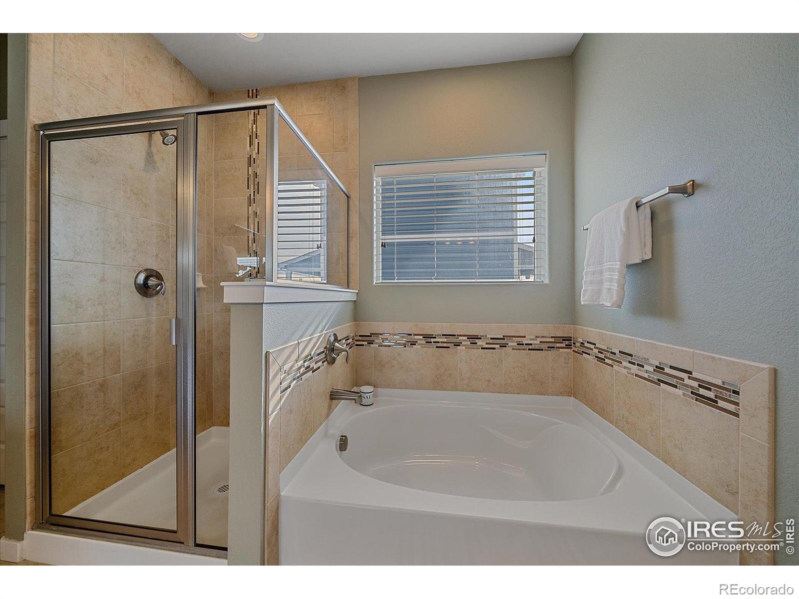 MLS Image #13 for 2321  nicholson street,berthoud, Colorado