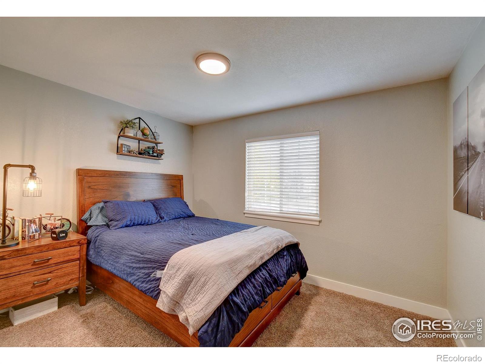 MLS Image #15 for 2513  haven court,evans, Colorado