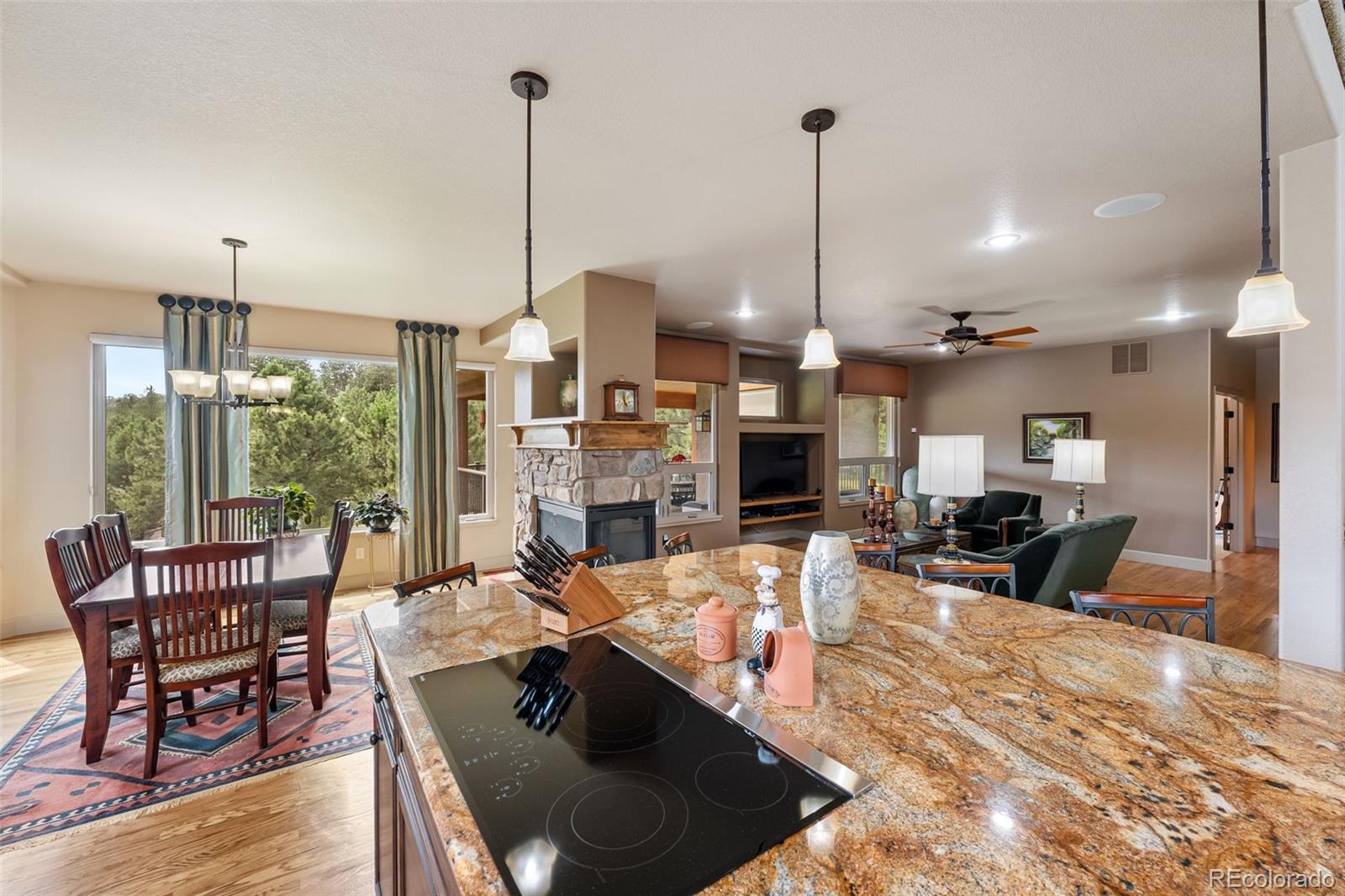 MLS Image #10 for 1163  greenland forest drive,monument, Colorado