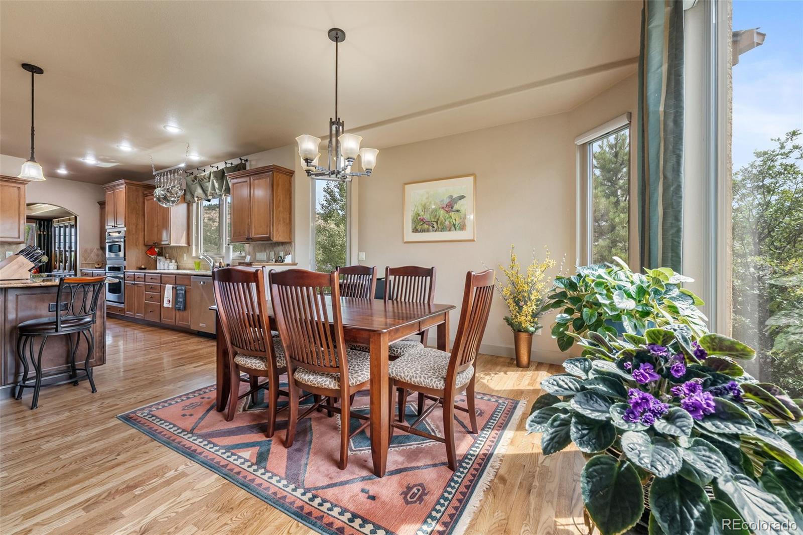 MLS Image #13 for 1163  greenland forest drive,monument, Colorado