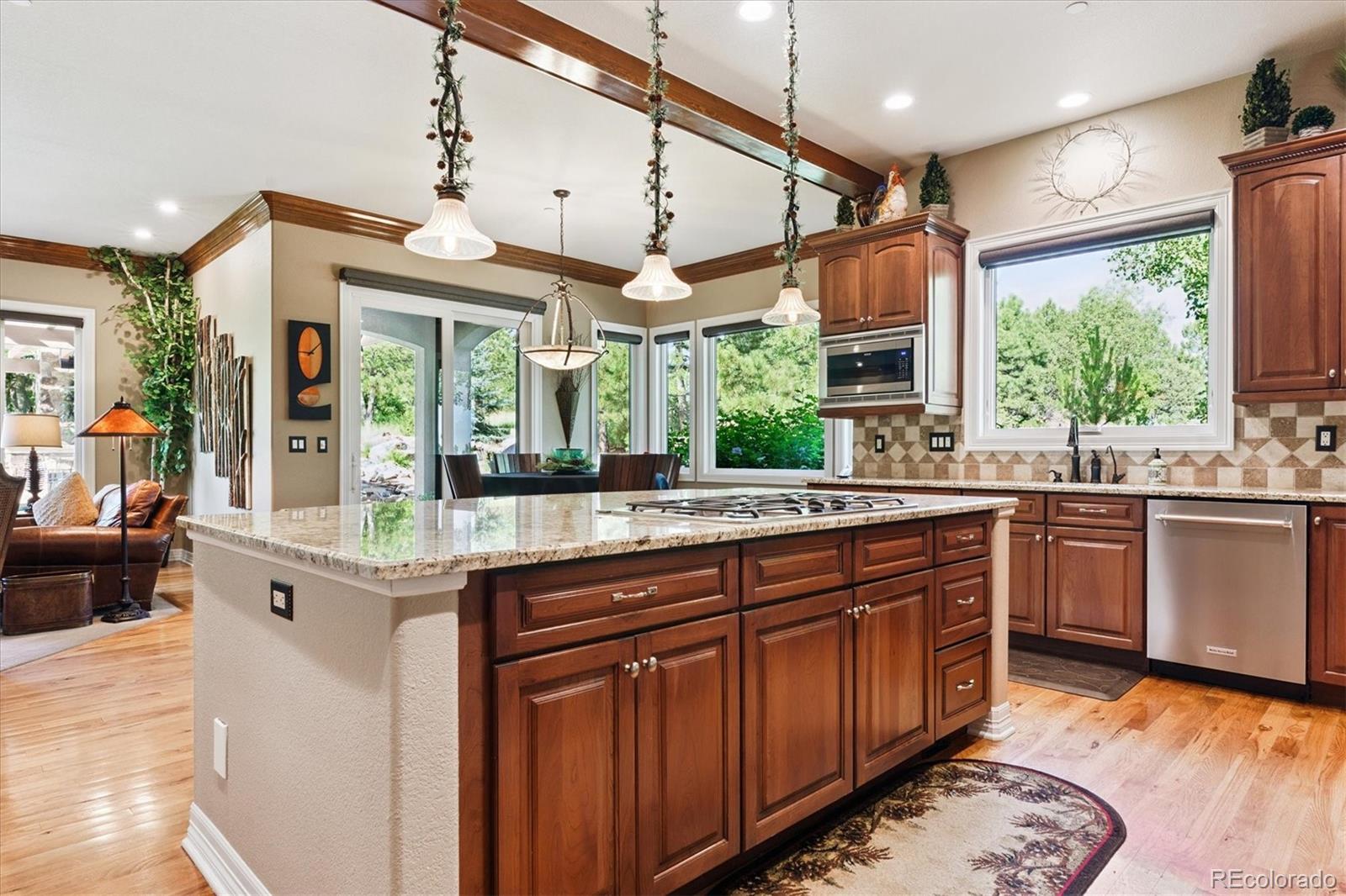 MLS Image #16 for 6100  huron lane,castle rock, Colorado