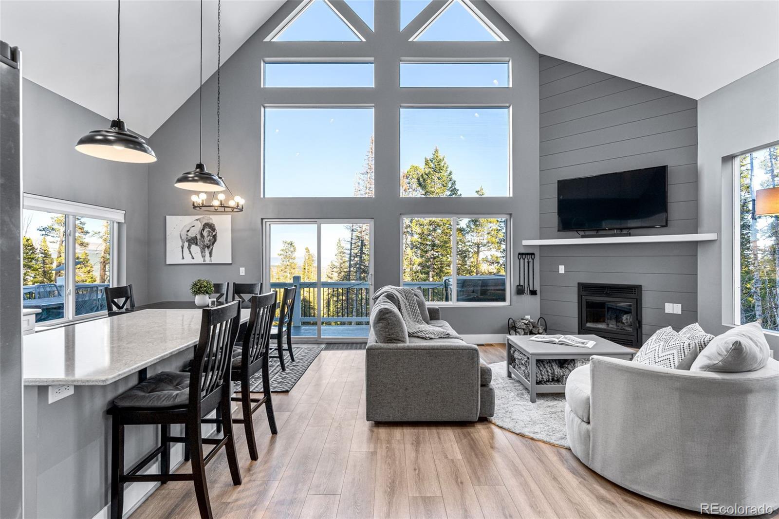 MLS Image #10 for 408  el lobo lane,fairplay, Colorado