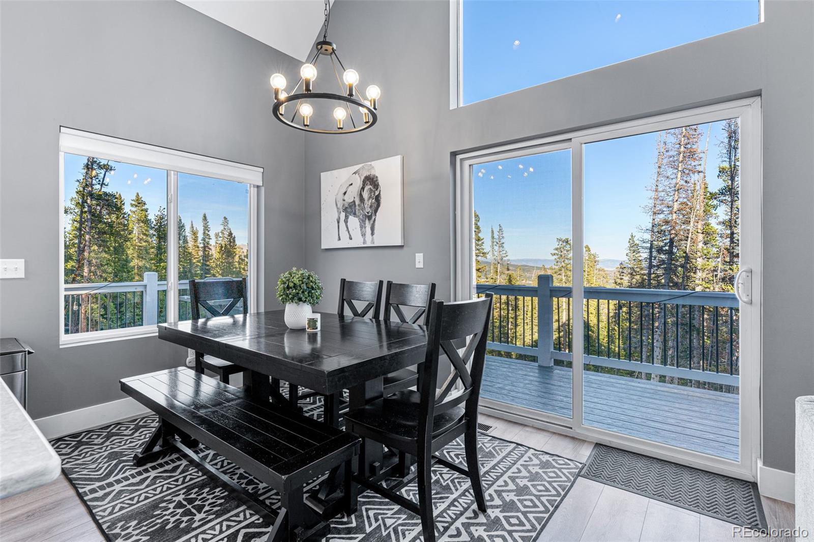 MLS Image #13 for 408  el lobo lane,fairplay, Colorado