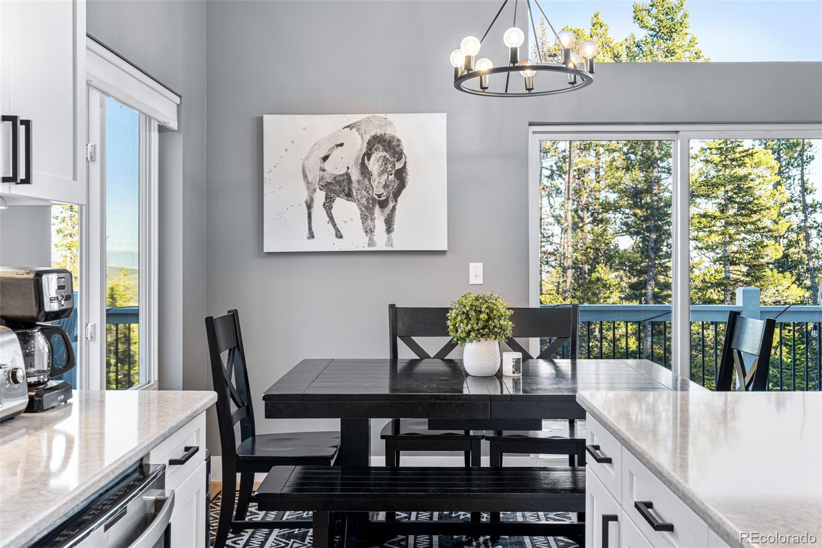 MLS Image #14 for 408  el lobo lane,fairplay, Colorado