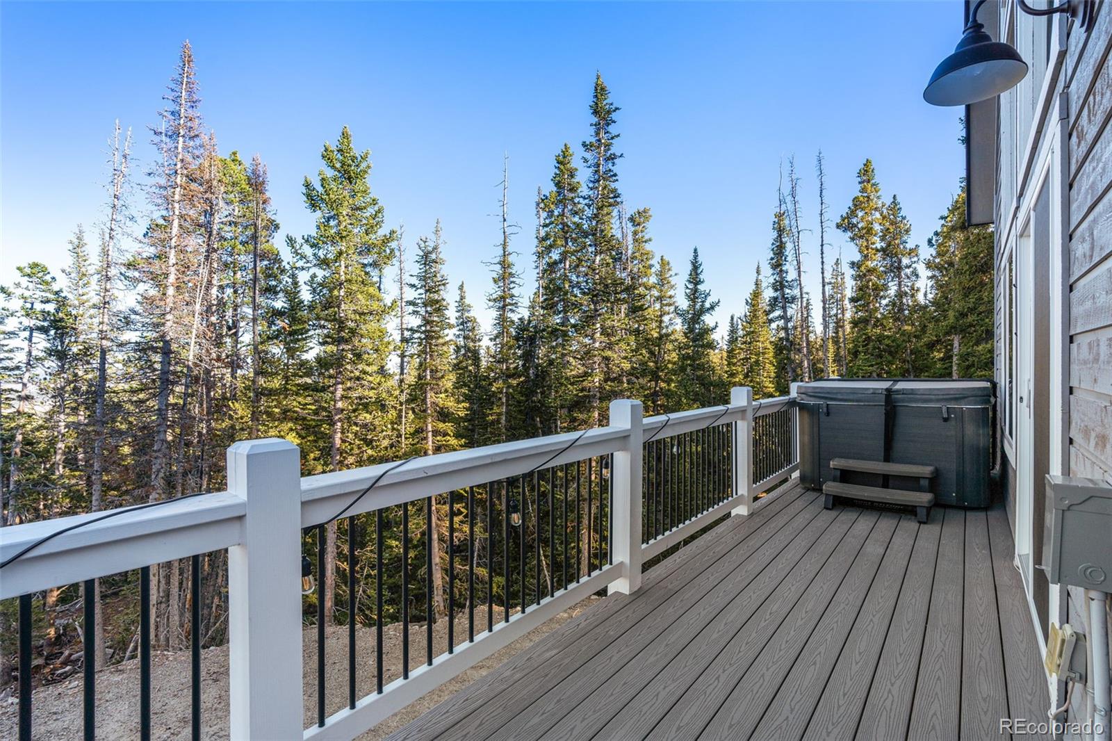 MLS Image #31 for 408  el lobo lane,fairplay, Colorado