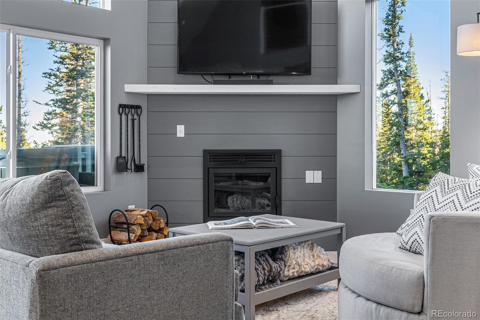 MLS Image #6 for 408  el lobo lane,fairplay, Colorado
